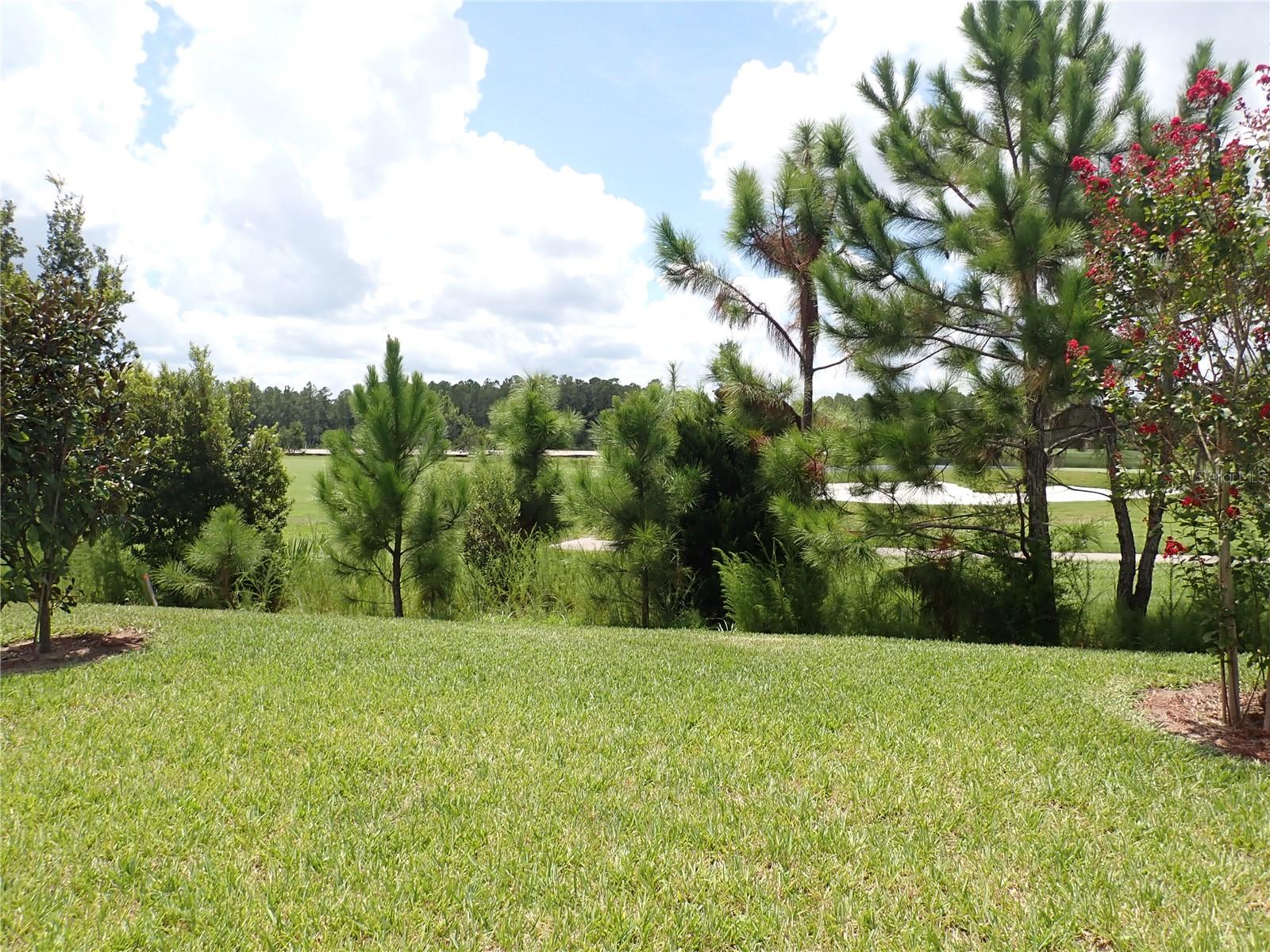 774 GRAND RESERVE DR, BUNNELL, FL, 32110