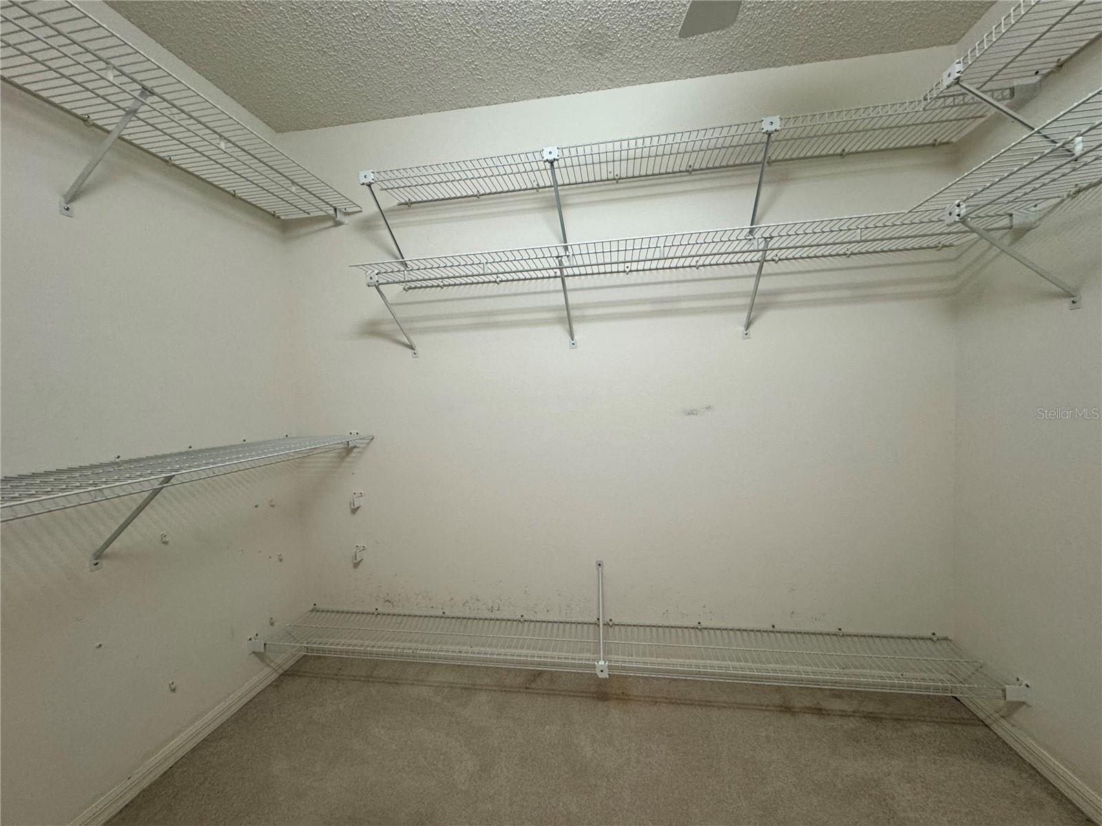 4593 GOLDCOAST AVE, SPRING HILL, FL, 34609