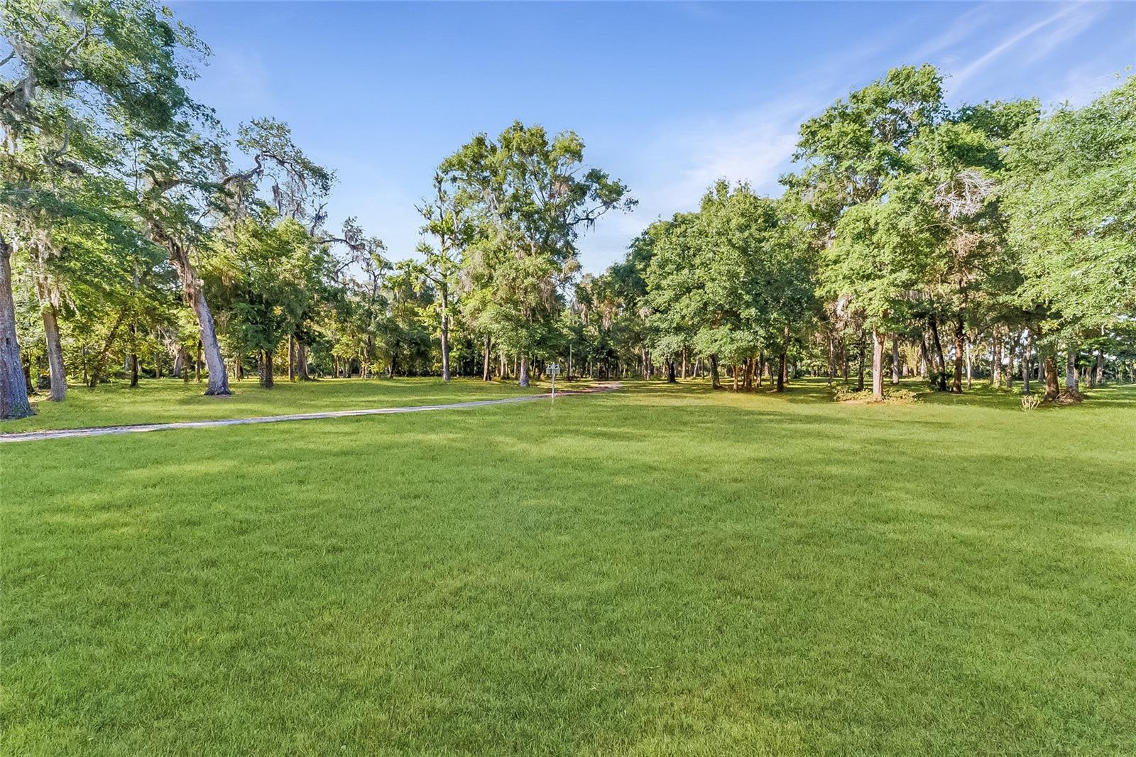 4089 E HWY 318, CITRA, FL, 32113