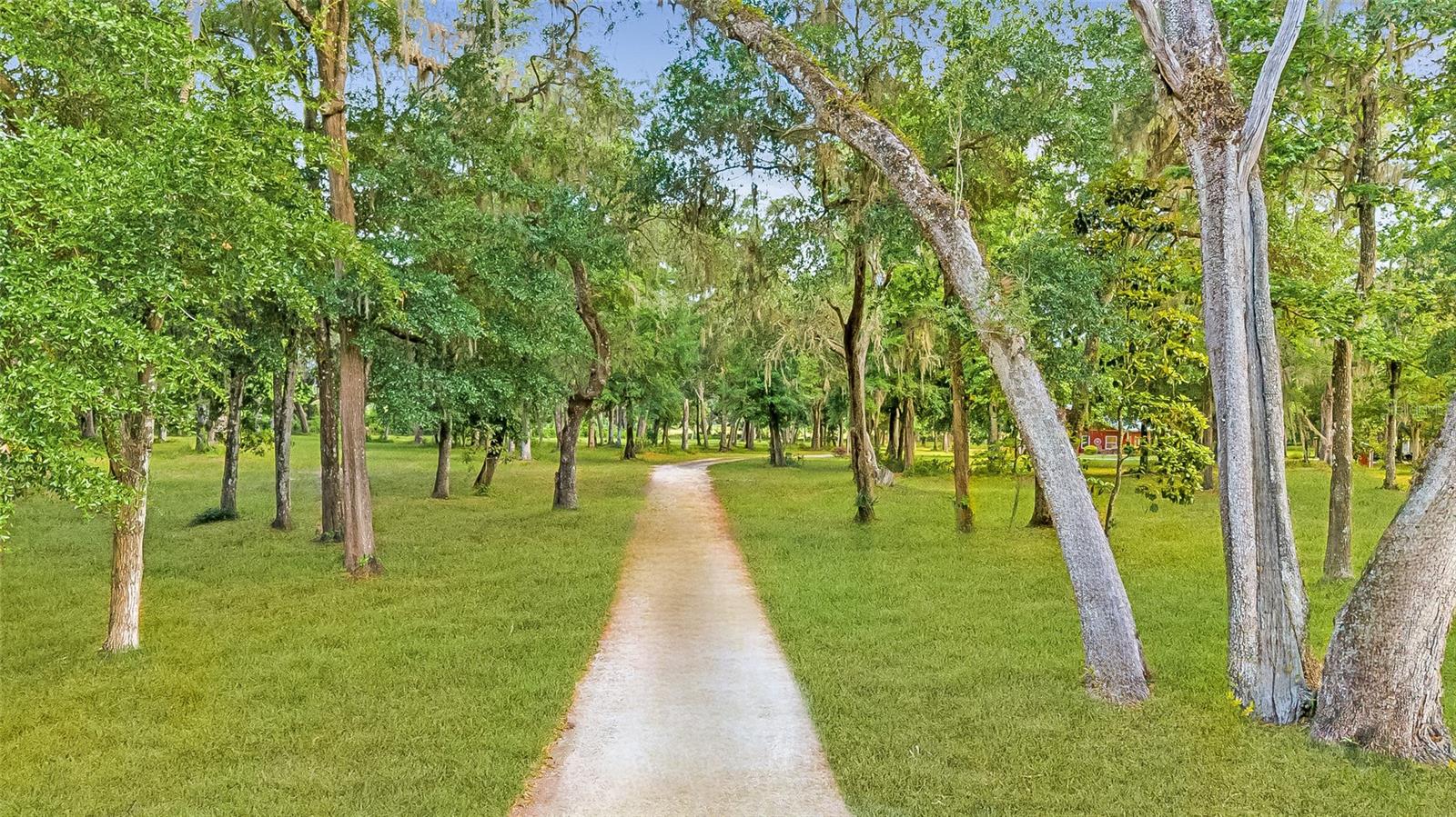 4089 E HWY 318, CITRA, FL, 32113