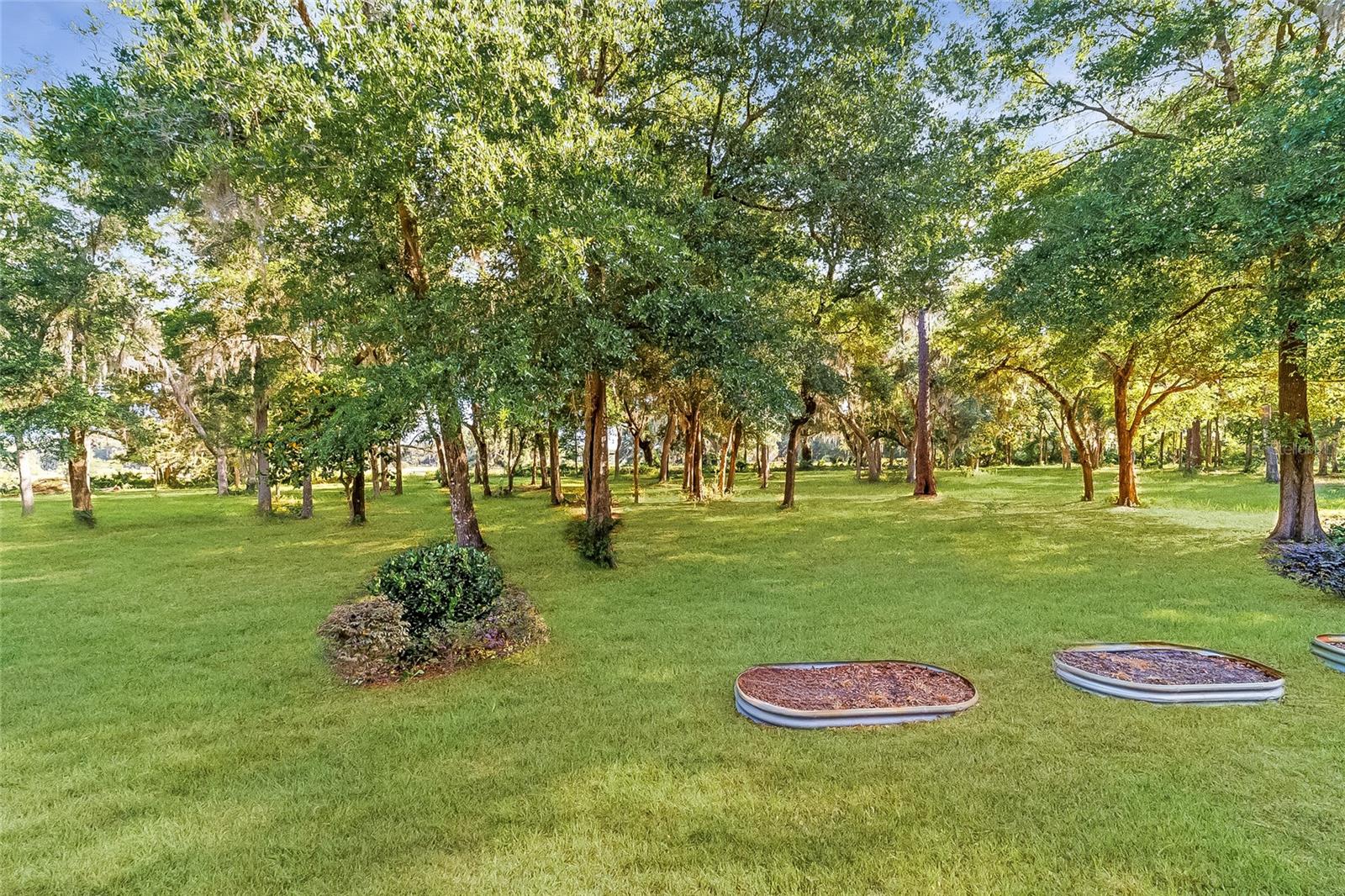 4089 E HWY 318, CITRA, FL, 32113