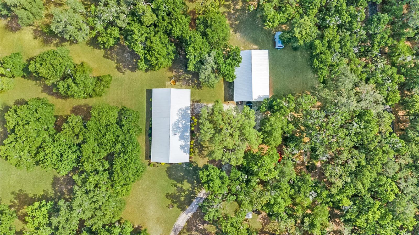 4089 E HWY 318, CITRA, FL, 32113