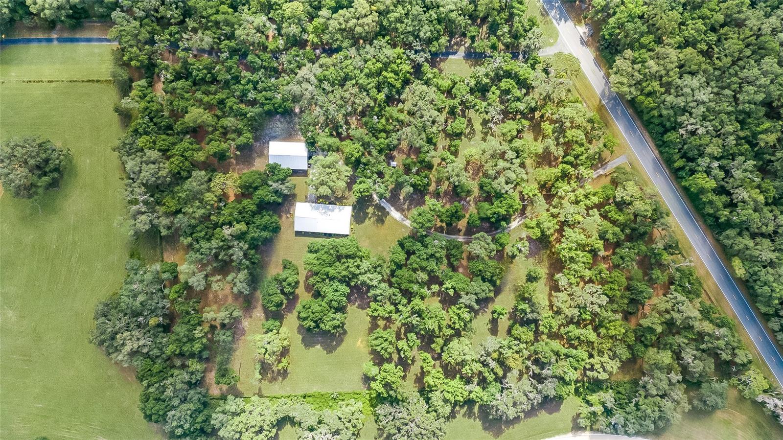 4089 E HWY 318, CITRA, FL, 32113