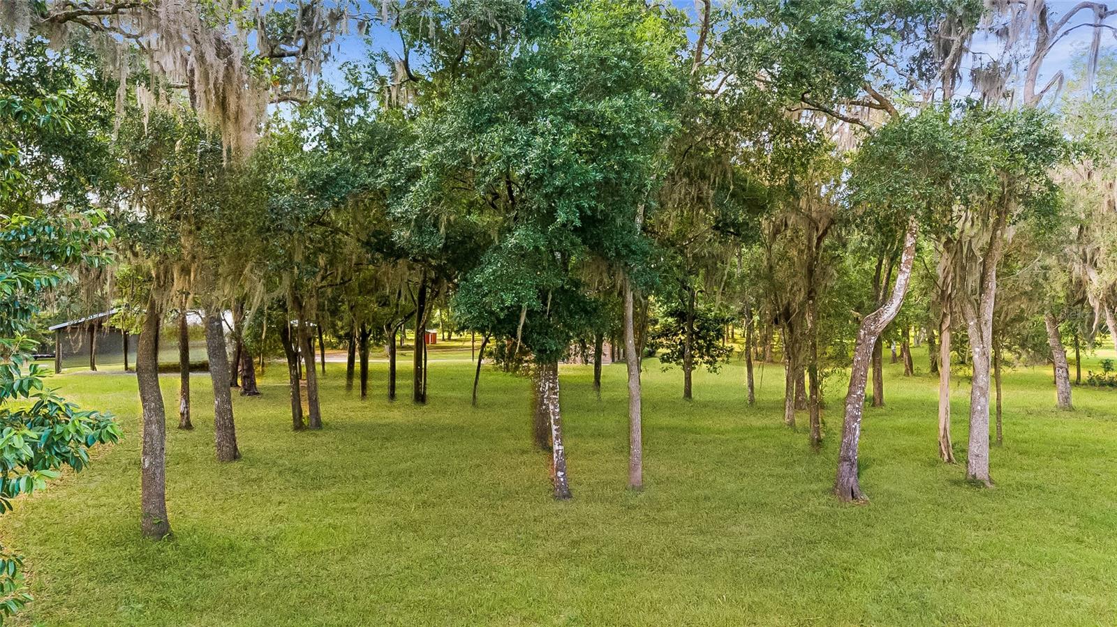 4089 E HWY 318, CITRA, FL, 32113