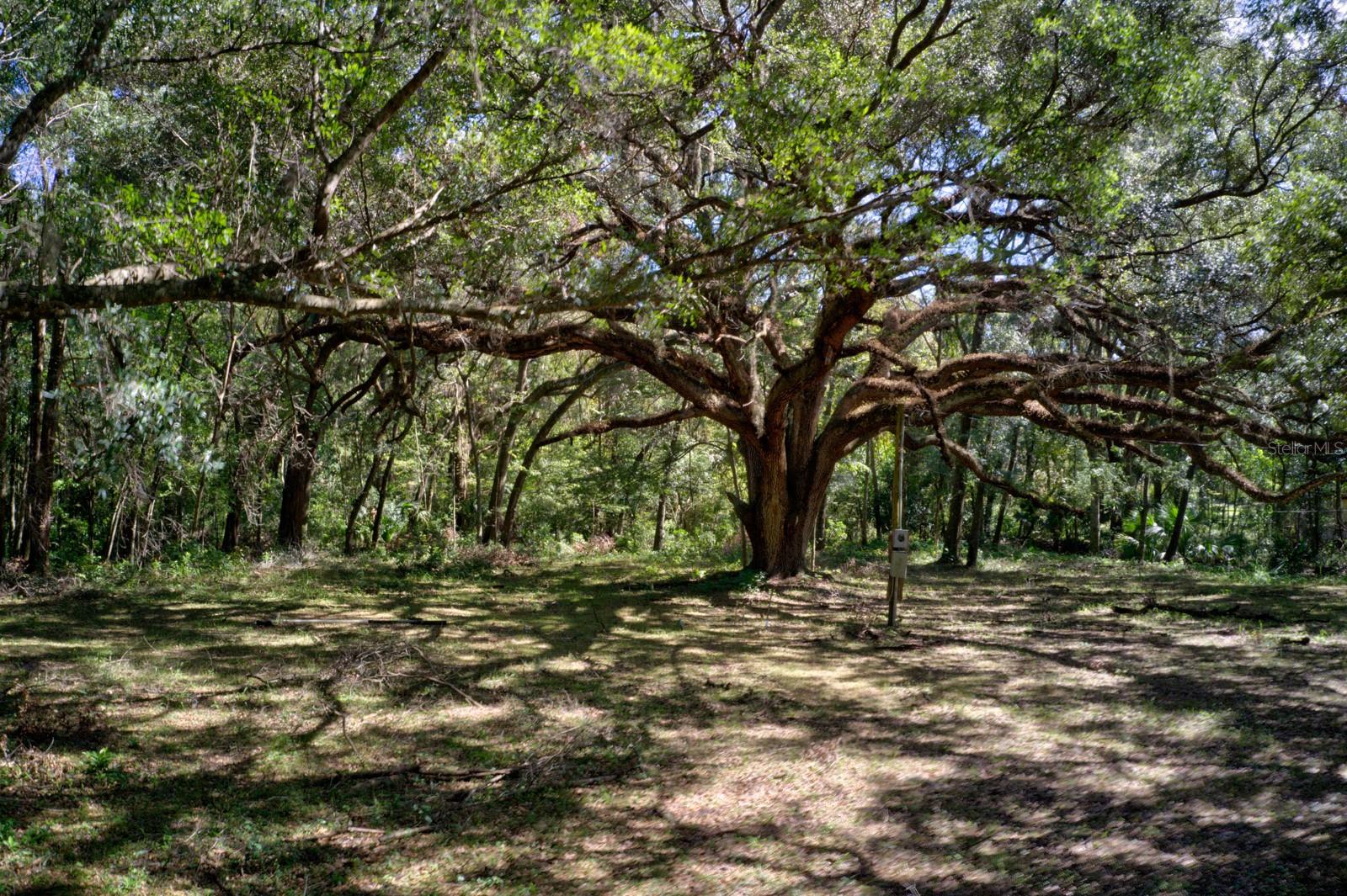 5005 SW 63RD BLVD, GAINESVILLE, FL, 32608