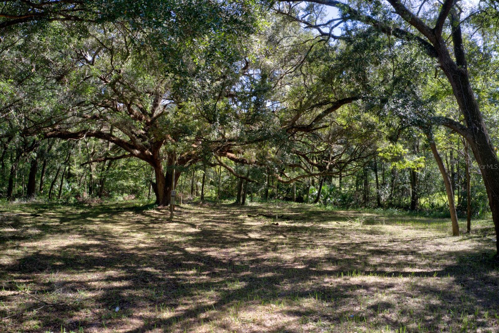 5005 SW 63RD BLVD, GAINESVILLE, FL, 32608