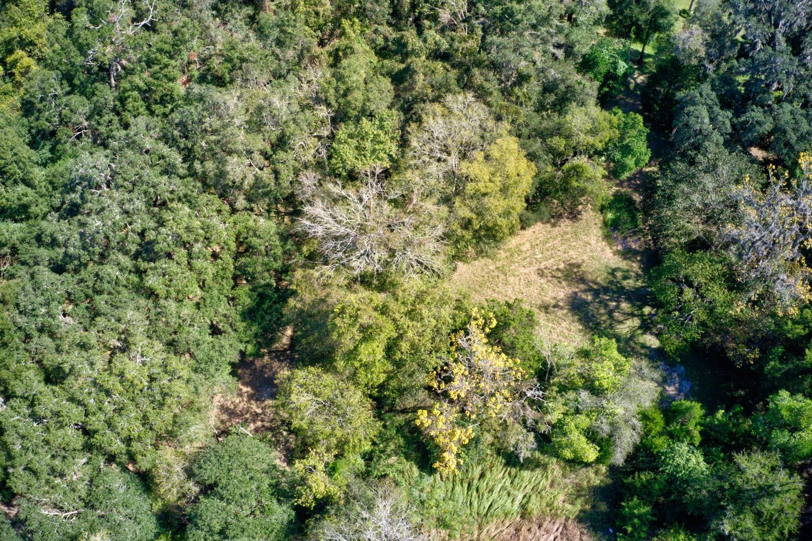 5005 SW 63RD BLVD, GAINESVILLE, FL, 32608