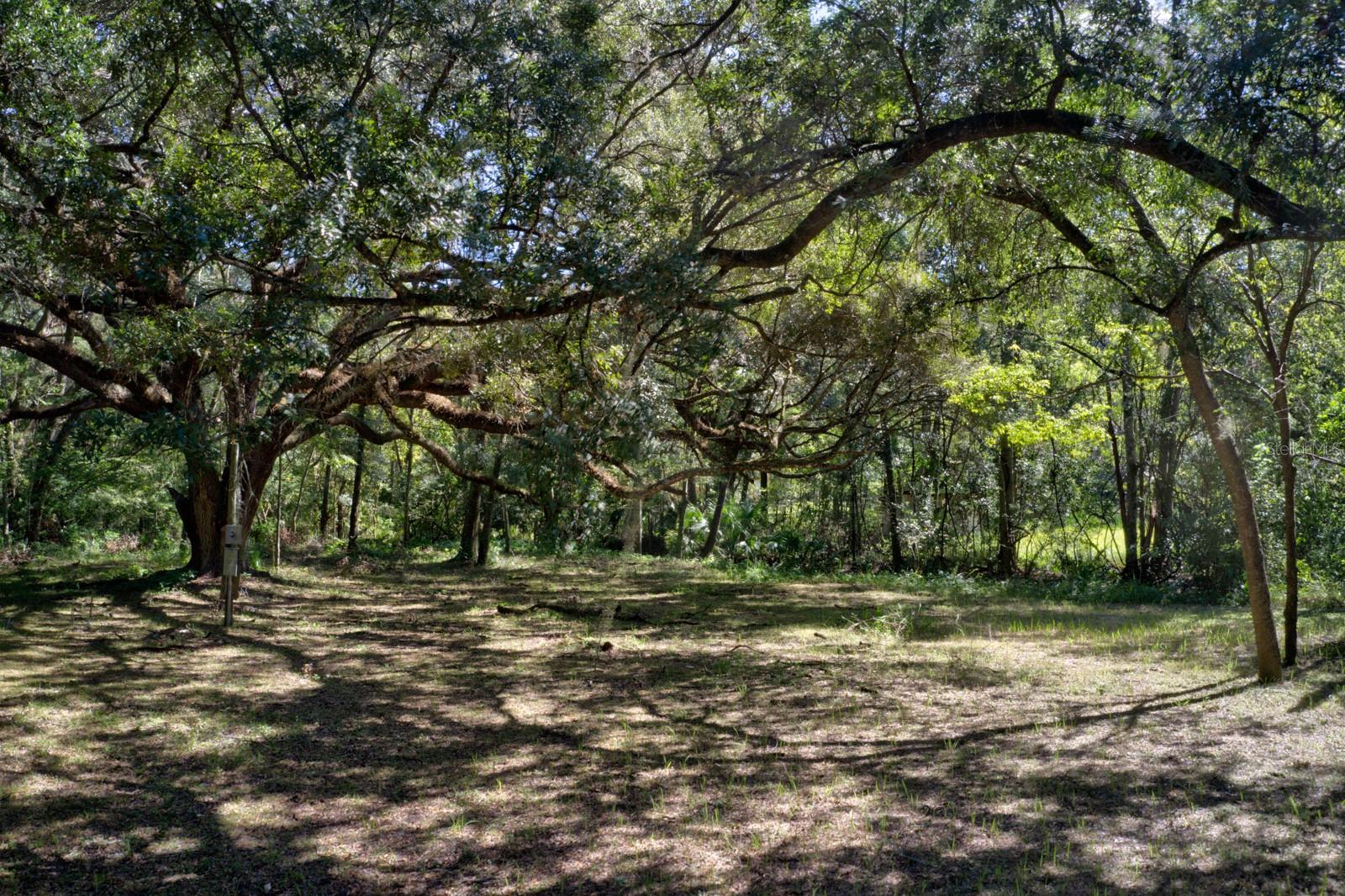 5005 SW 63RD BLVD, GAINESVILLE, FL, 32608