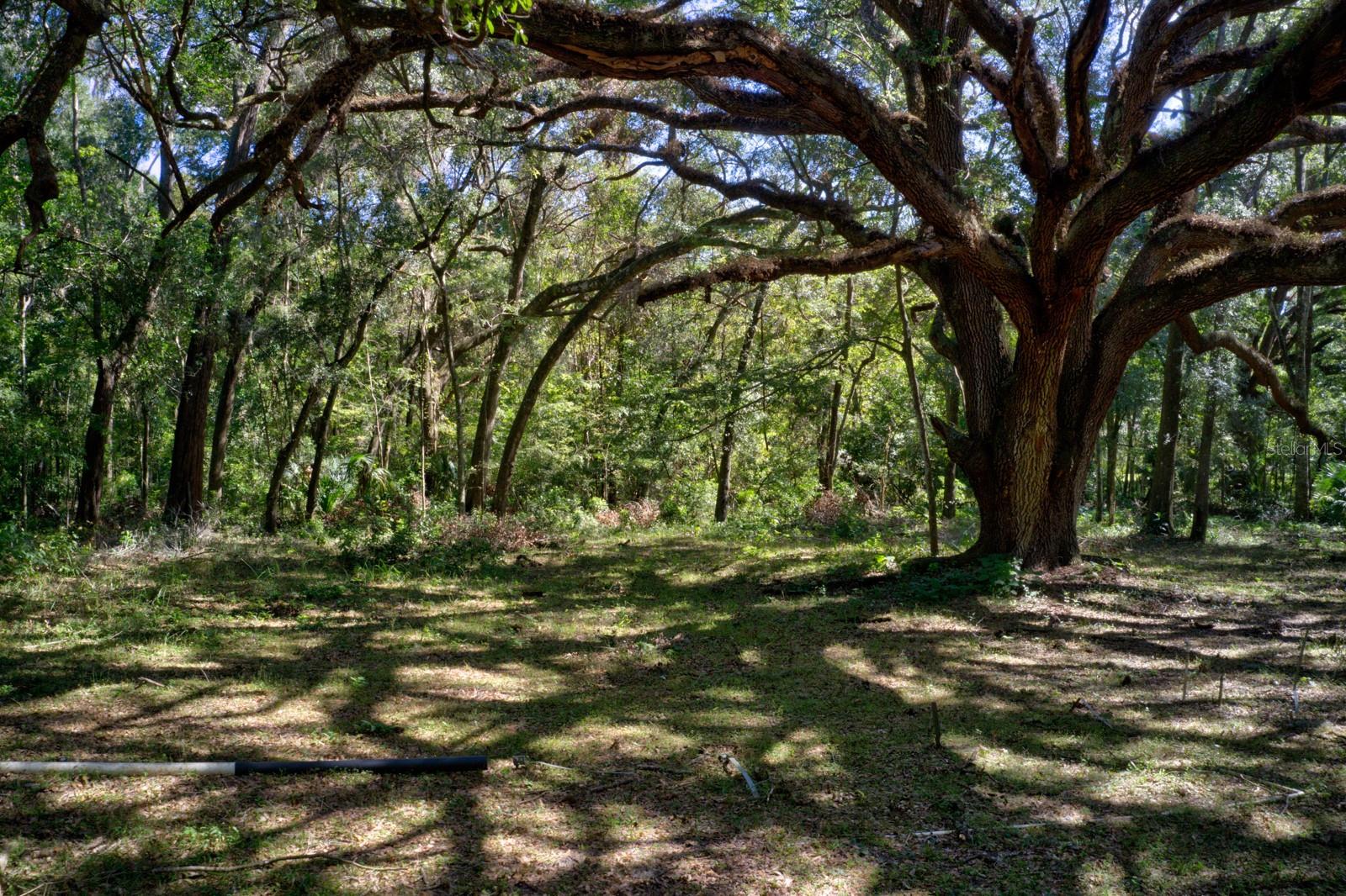 5005 SW 63RD BLVD, GAINESVILLE, FL, 32608