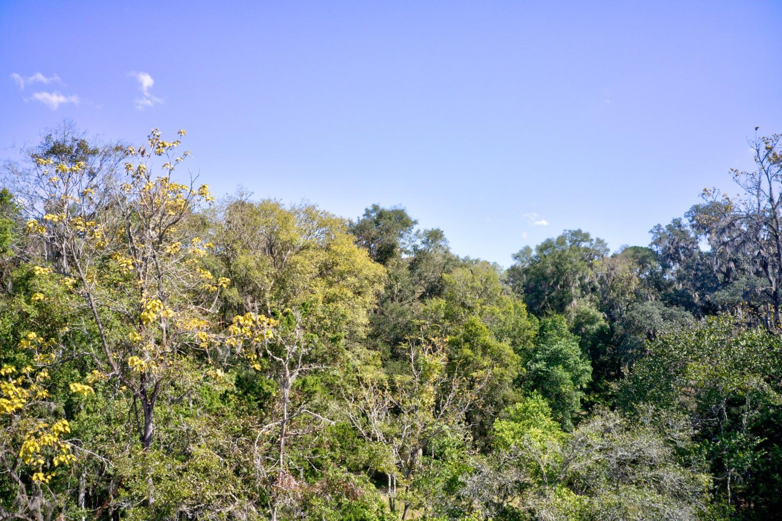 5005 SW 63RD BLVD, GAINESVILLE, FL, 32608