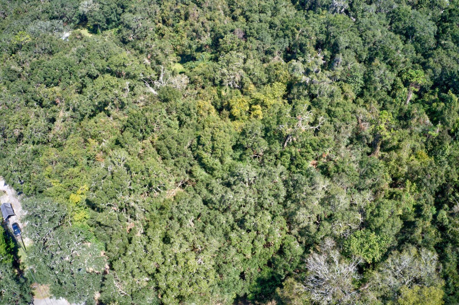 5005 SW 63RD BLVD, GAINESVILLE, FL, 32608