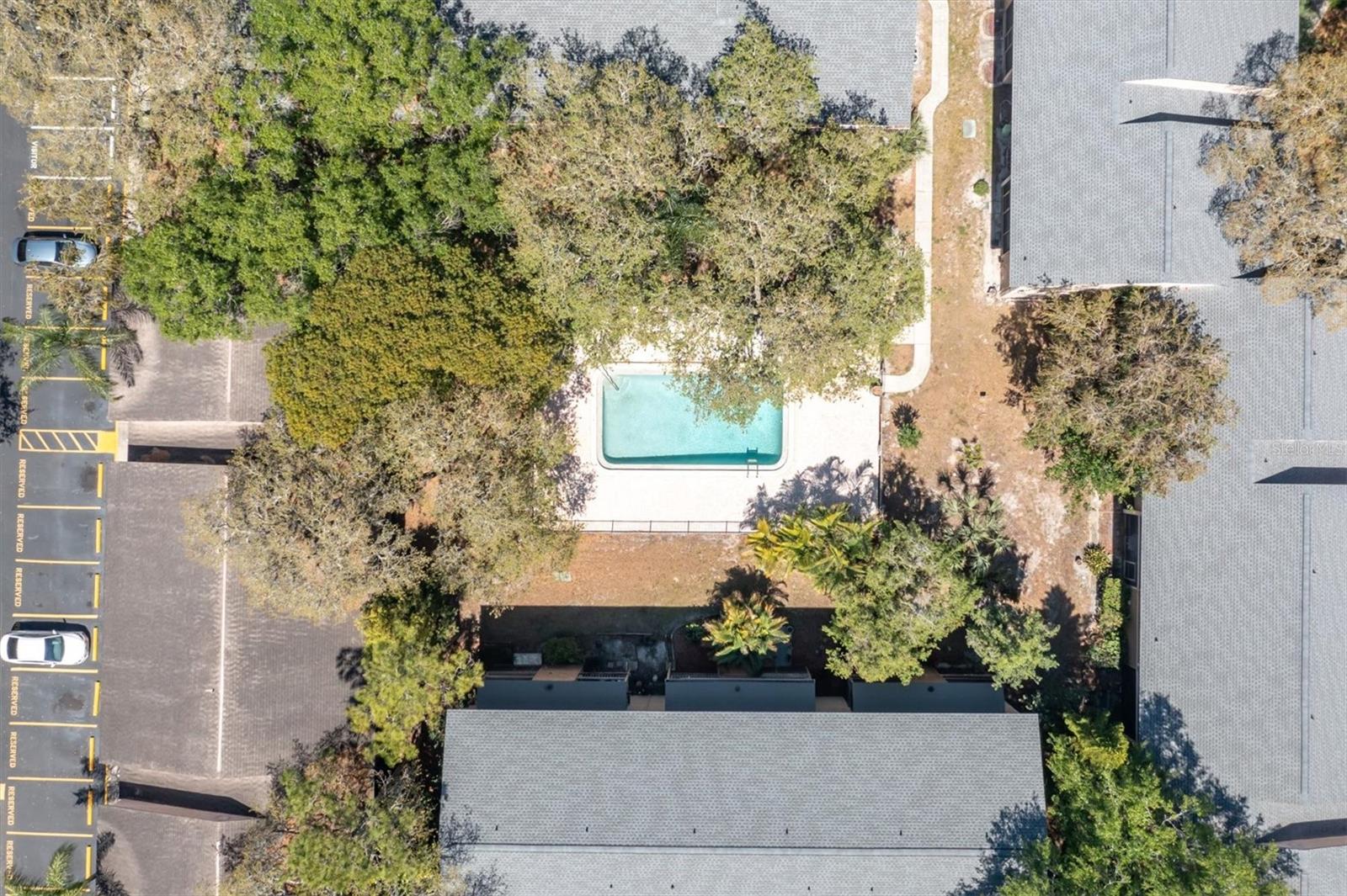 7505 PITCH PINE CIR #122, TAMPA, FL, 33617