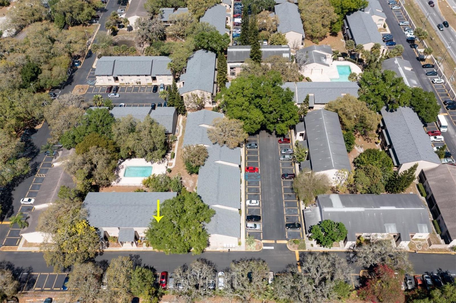 7505 PITCH PINE CIR #122, TAMPA, FL, 33617