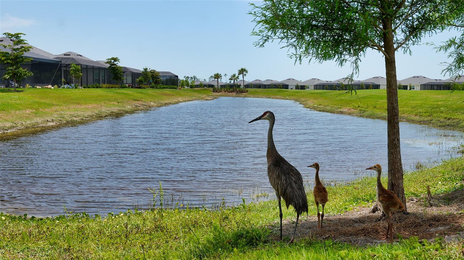 17449 SANDPEARL RD, VENICE, FL, 34293