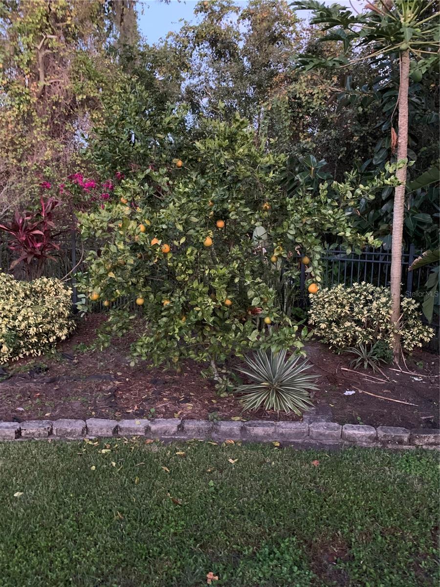 2842 BALFORN TOWER, WINTER GARDEN, FL, 34787