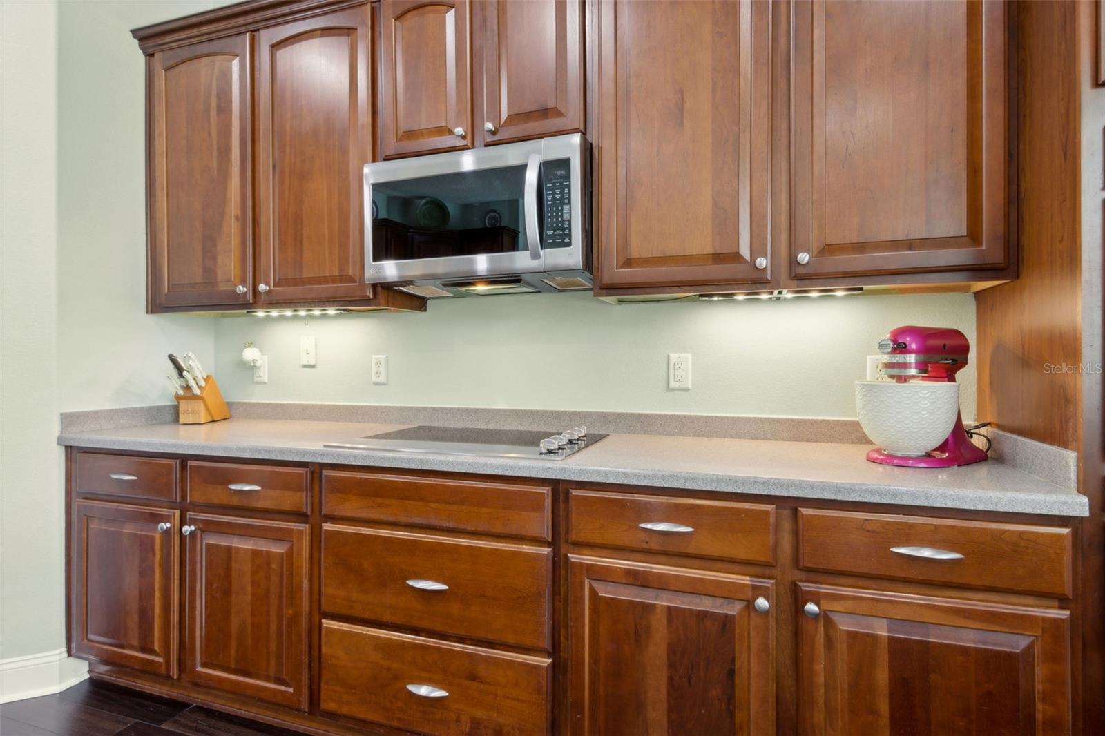 2842 BALFORN TOWER, WINTER GARDEN, FL, 34787