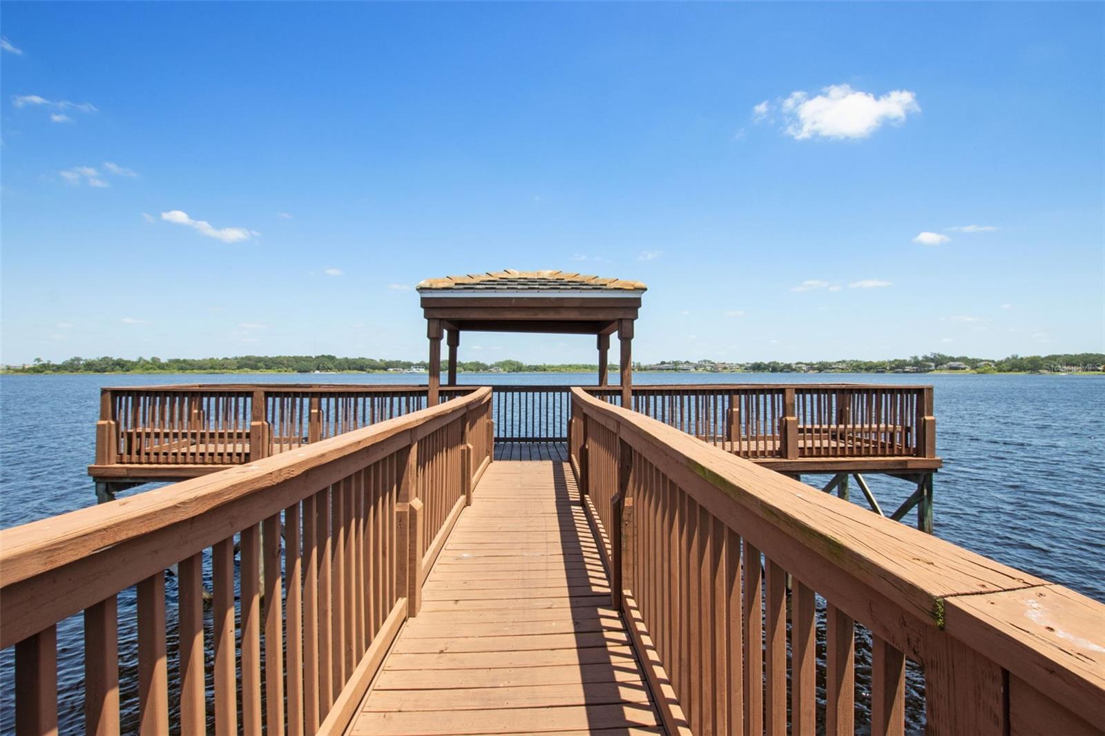 2842 BALFORN TOWER, WINTER GARDEN, FL, 34787