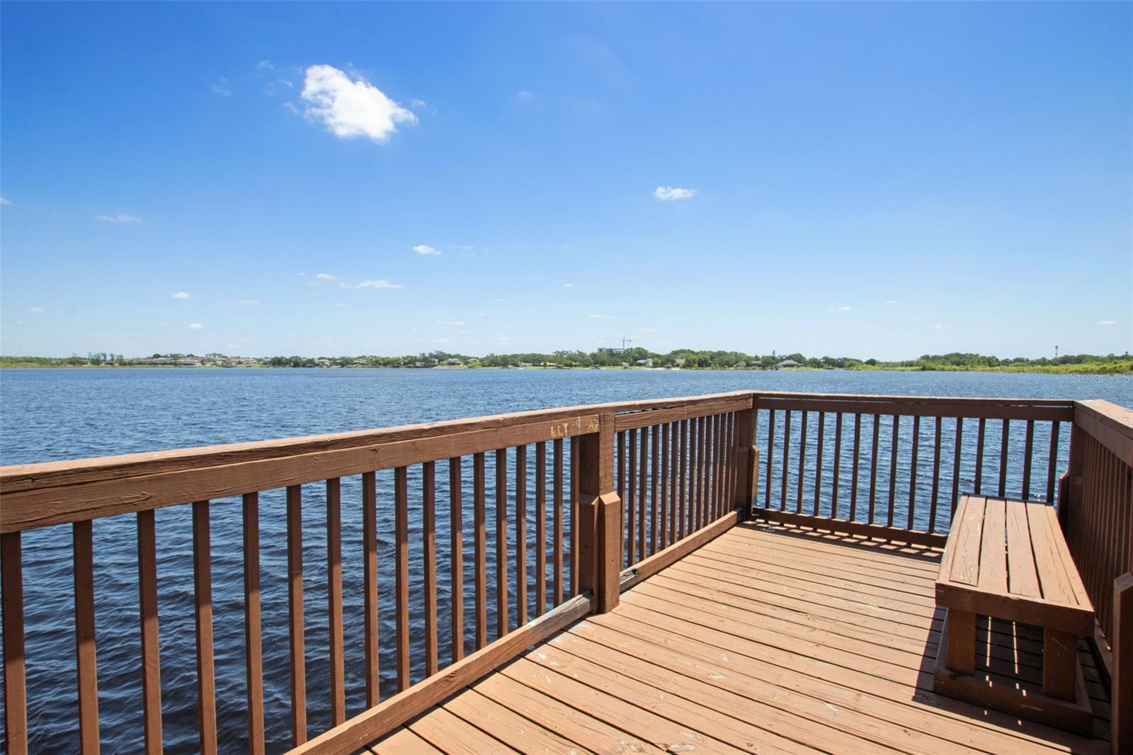 2842 BALFORN TOWER, WINTER GARDEN, FL, 34787