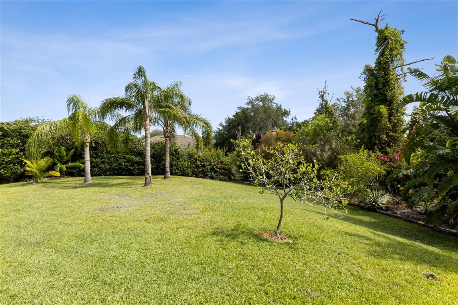 2842 BALFORN TOWER, WINTER GARDEN, FL, 34787