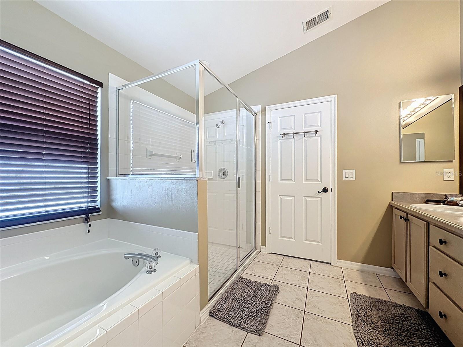 8019 INDIAN CREEK BLVD, KISSIMMEE, FL, 34747