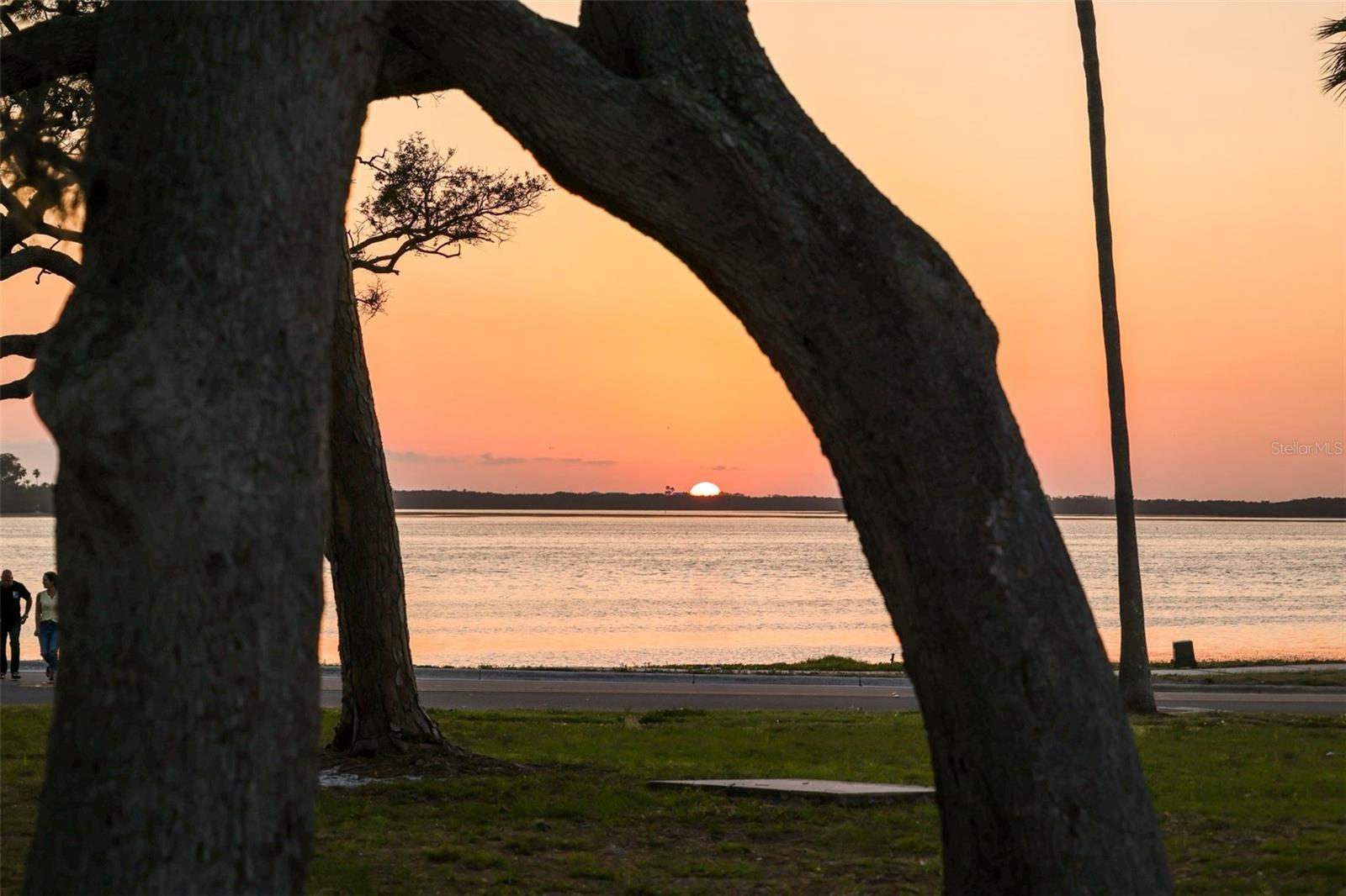 1039 UNION ST, CLEARWATER, FL, 33755