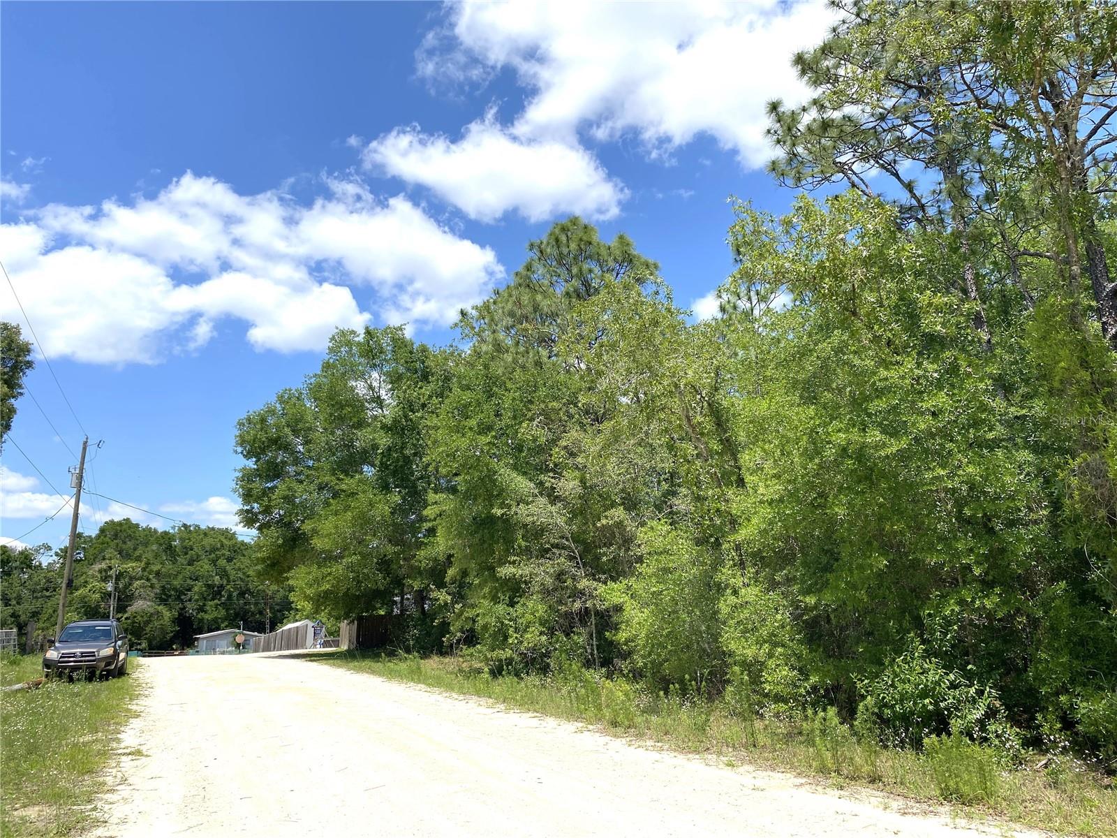 00 NE 141ST AVE, WILLISTON, FL, 32696