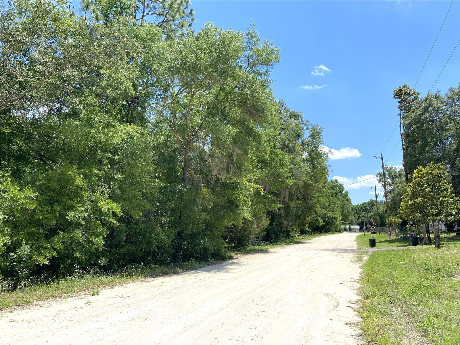 00 NE 141ST AVE, WILLISTON, FL, 32696