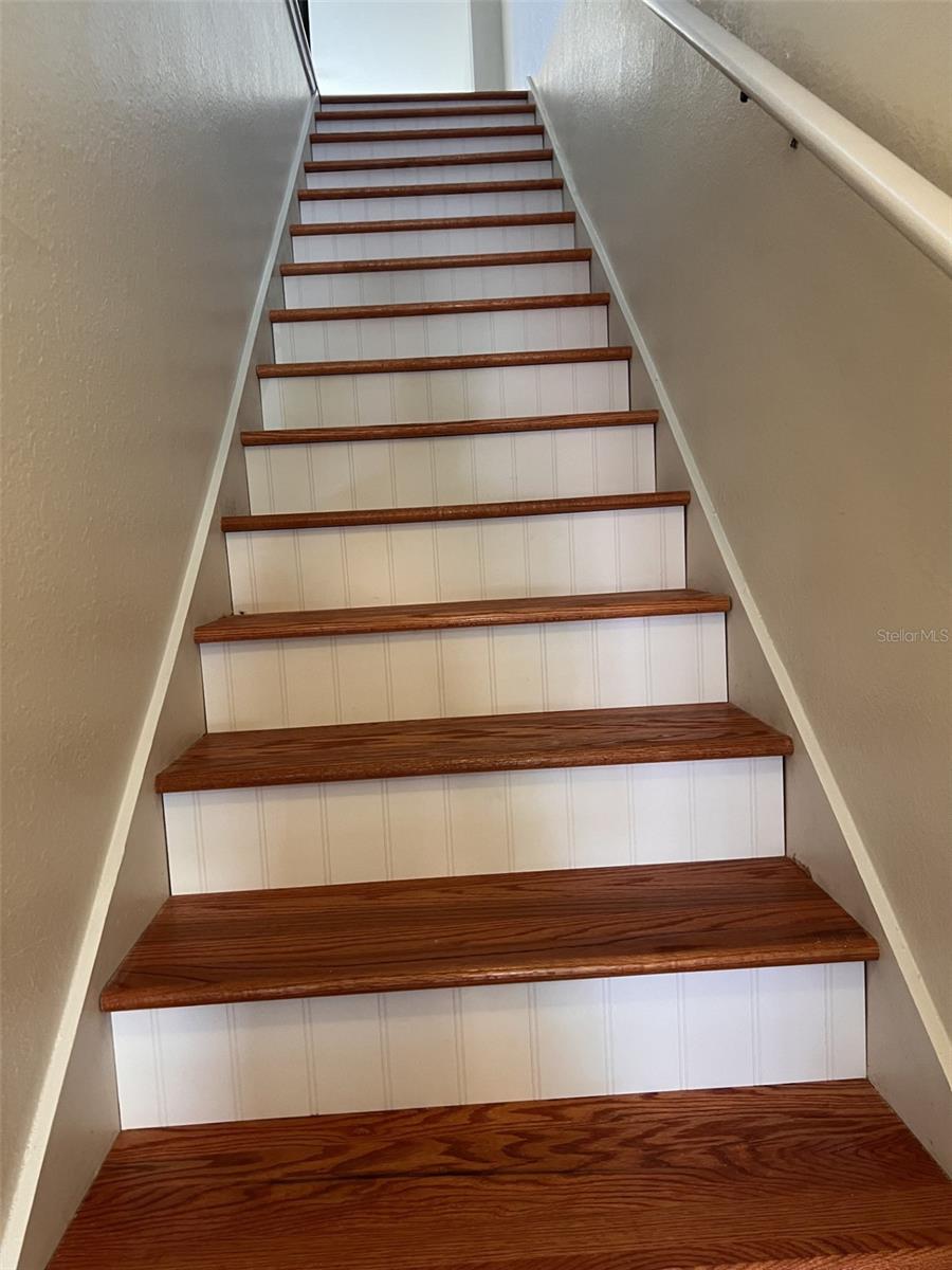 2138 CHIANTI PL, PALM HARBOR, FL, 34683