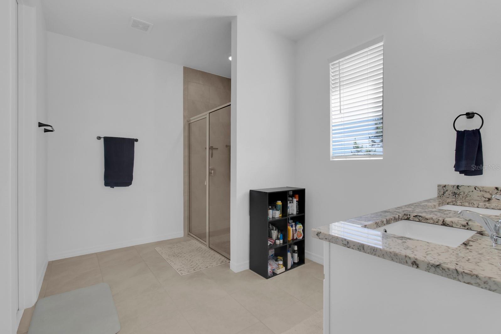 3017 AMBERSWEET PL, CLERMONT, FL, 34711