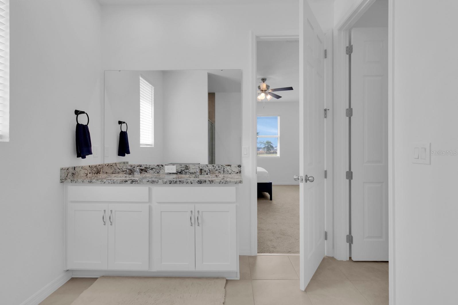 3017 AMBERSWEET PL, CLERMONT, FL, 34711