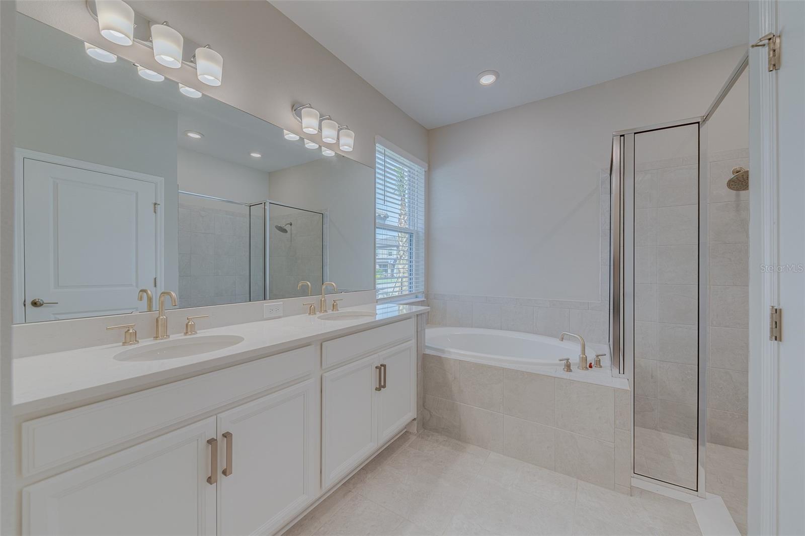 3896 ROSE MALLOW DR, KISSIMMEE, FL, 34746