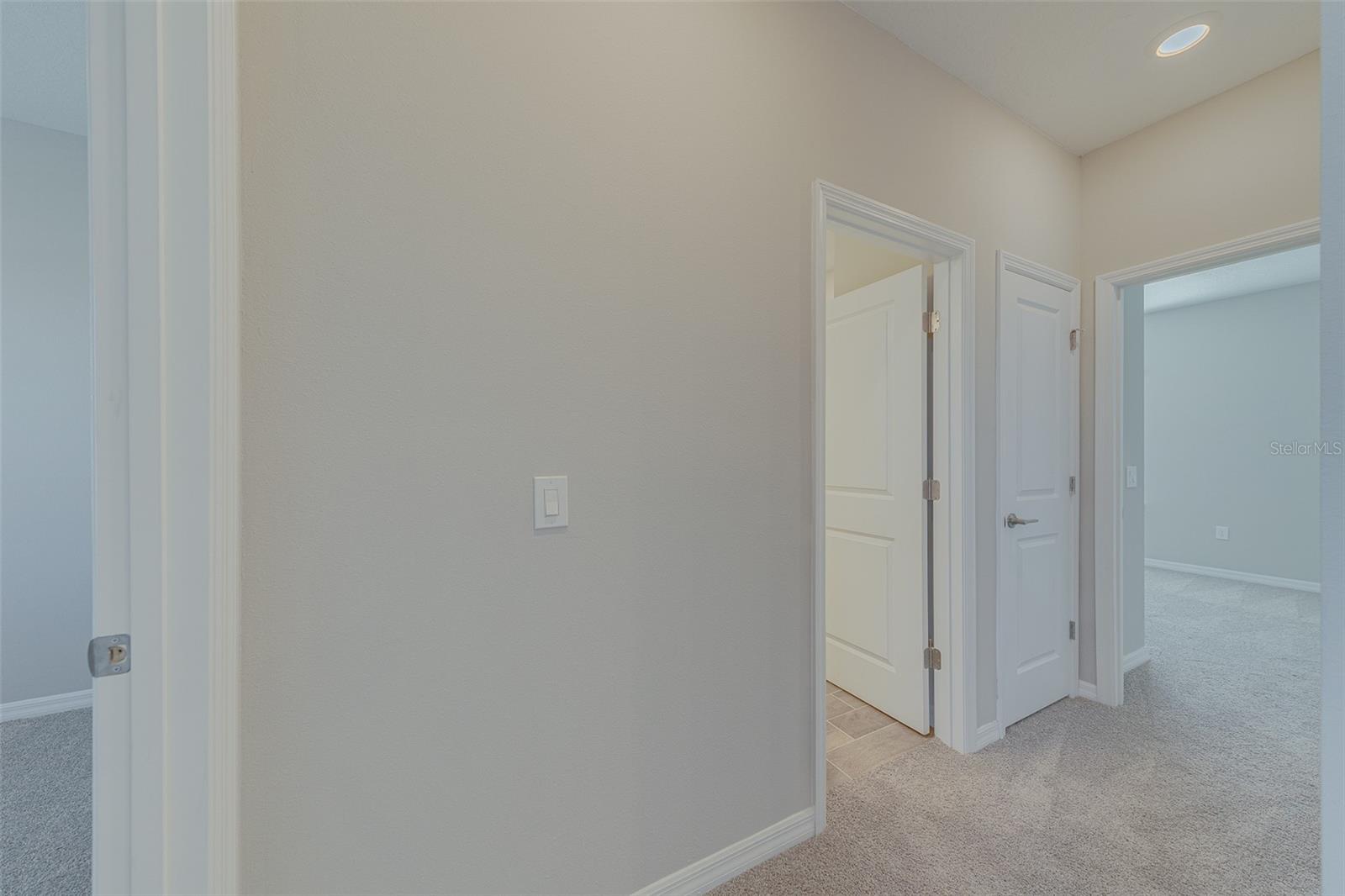 3896 ROSE MALLOW DR, KISSIMMEE, FL, 34746