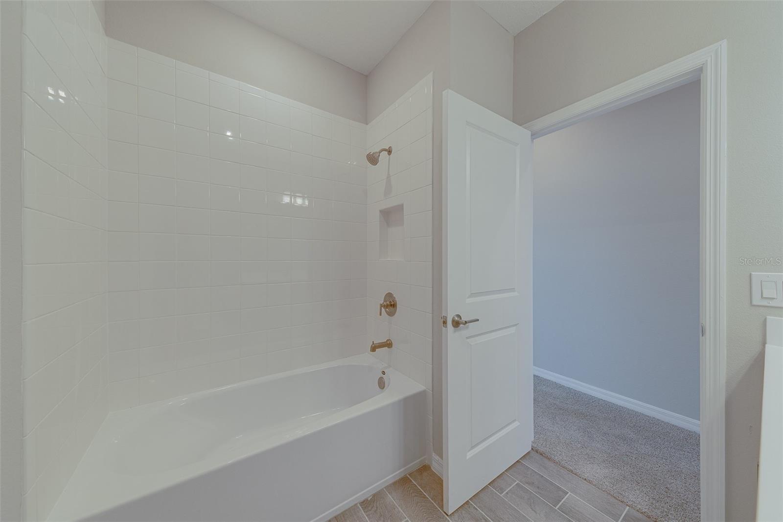 3896 ROSE MALLOW DR, KISSIMMEE, FL, 34746