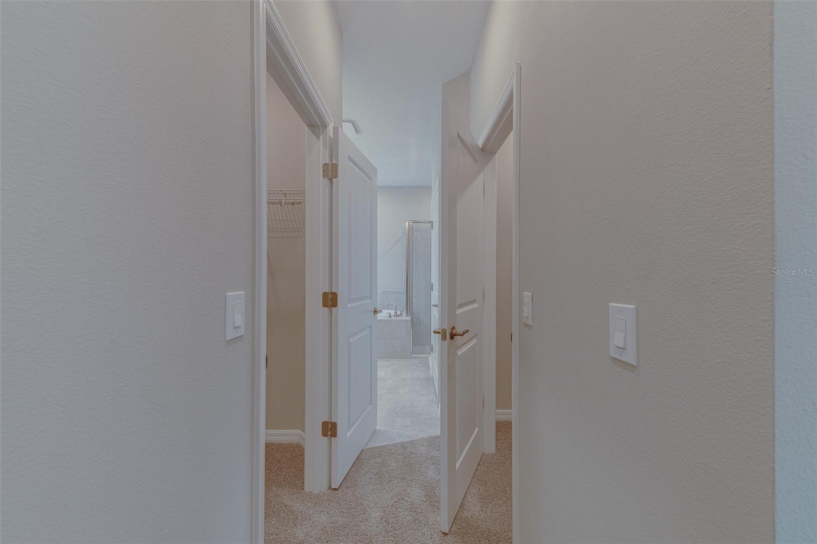 3896 ROSE MALLOW DR, KISSIMMEE, FL, 34746