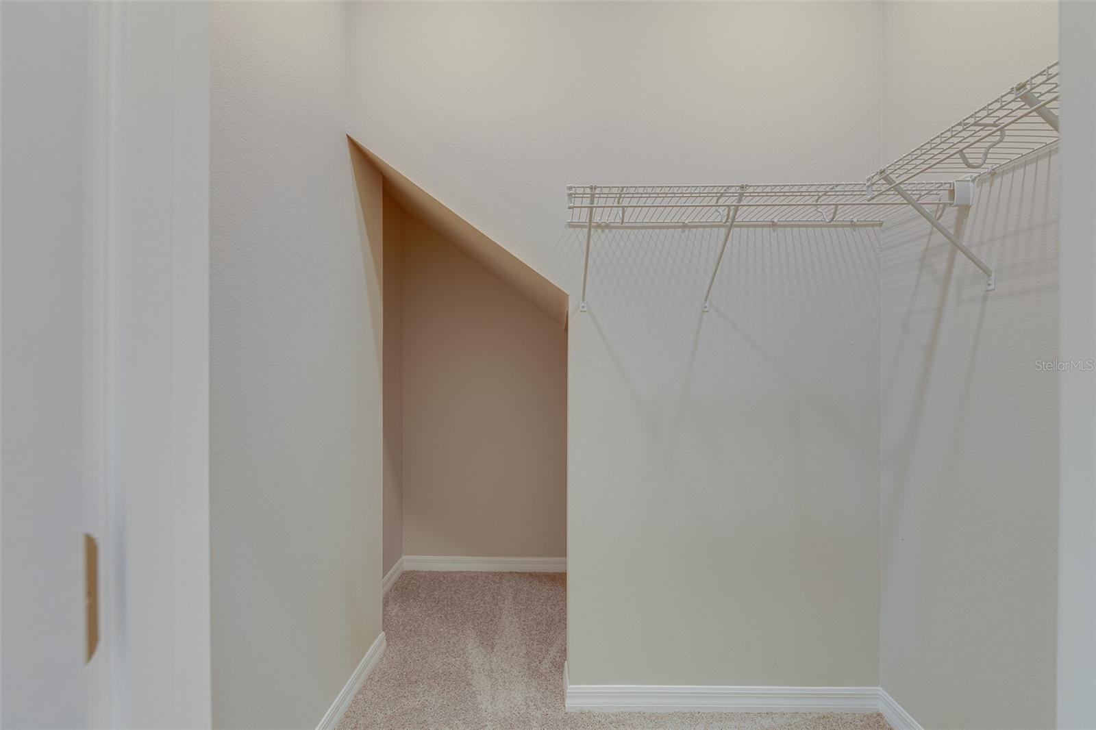 3896 ROSE MALLOW DR, KISSIMMEE, FL, 34746