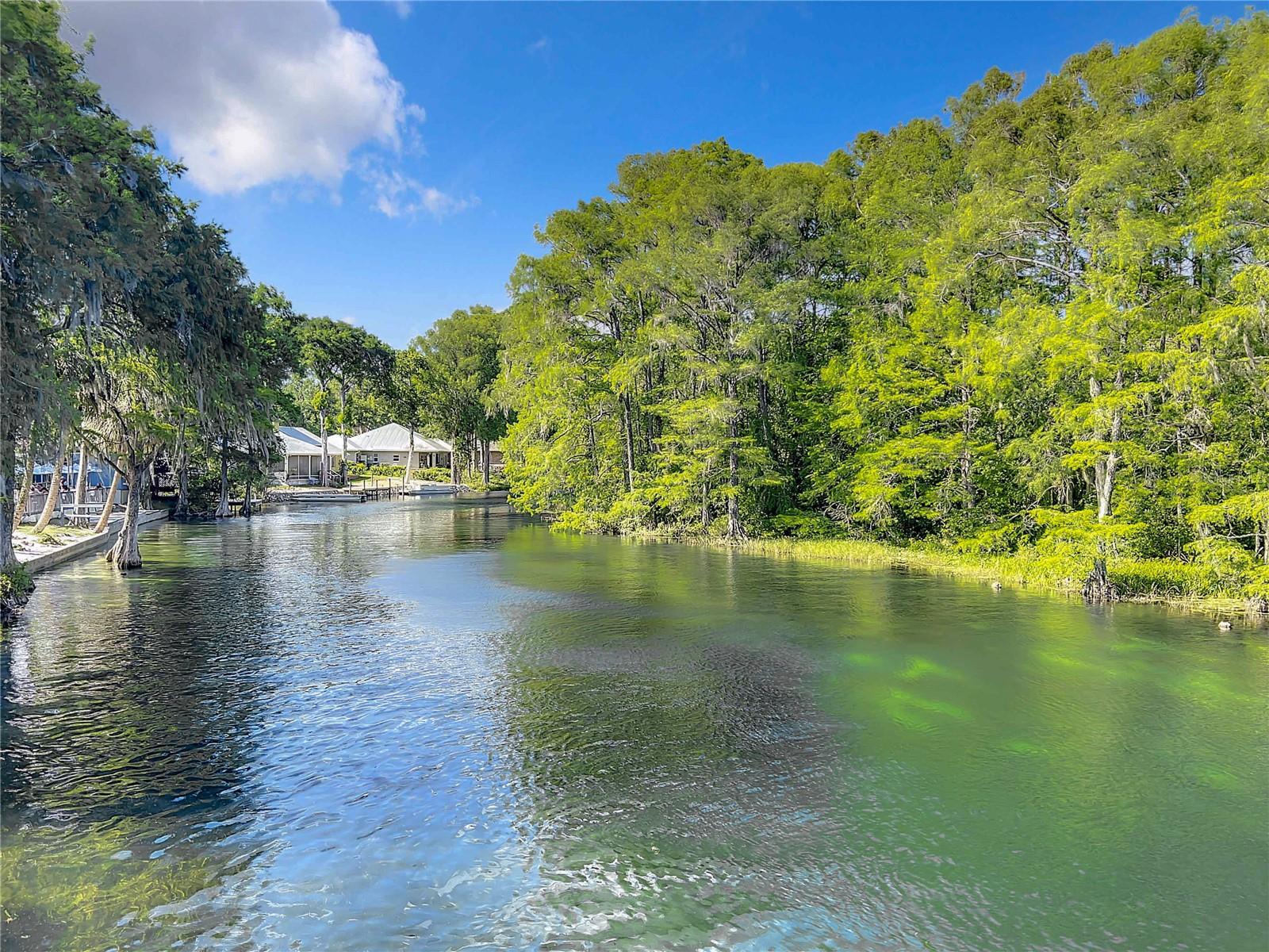 19938 BURKITT RD, DUNNELLON, FL, 34432