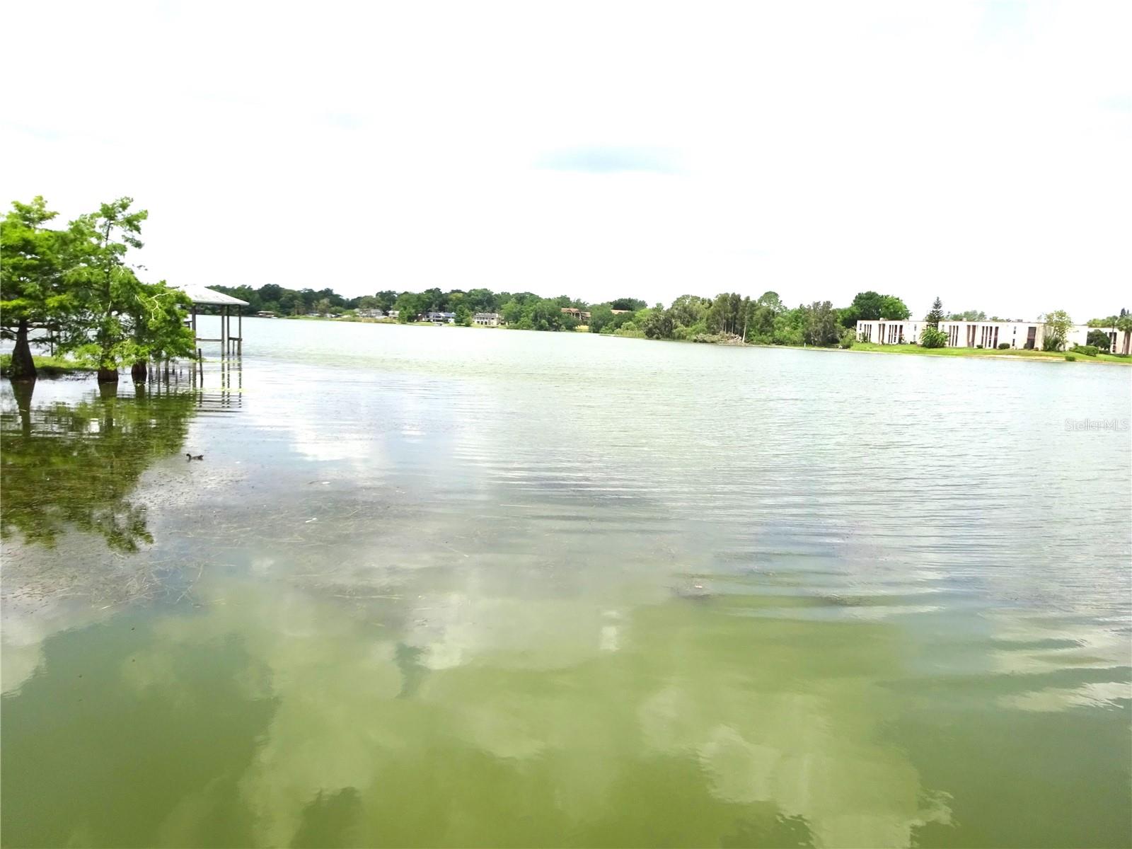 672 POST OAK CIR #106, ALTAMONTE SPRINGS, FL, 32701