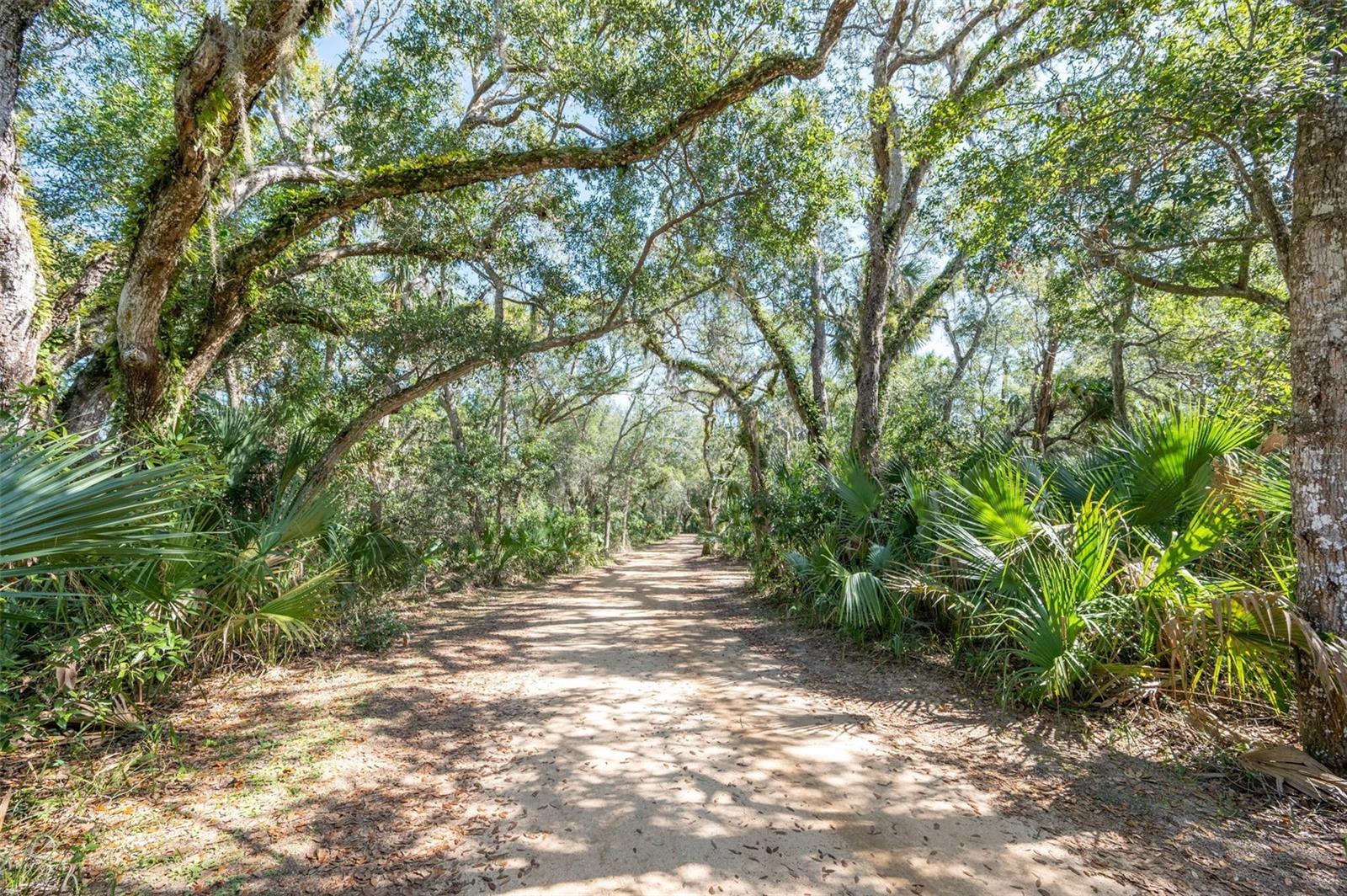 22 SAN CARLOS DR, PALM COAST, FL, 32137