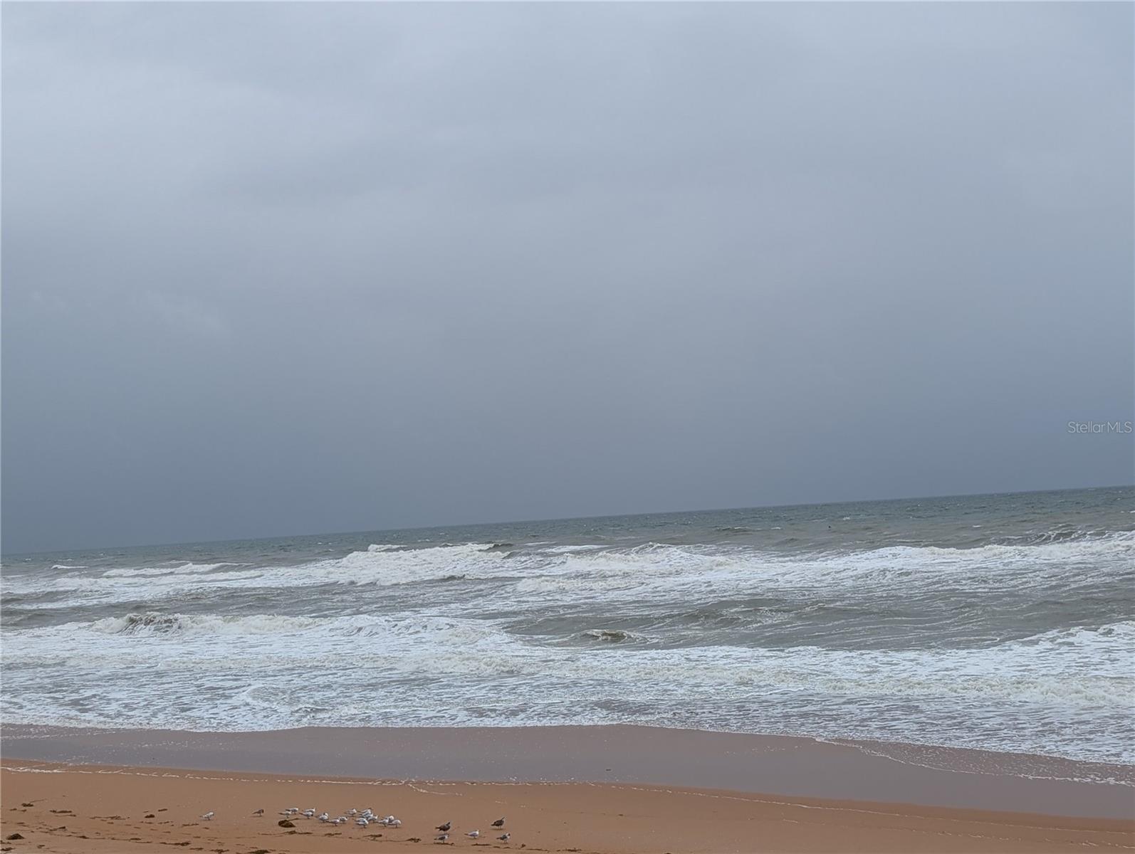 3100 OCEAN SHORE BLVD #101, ORMOND BEACH, FL, 32176