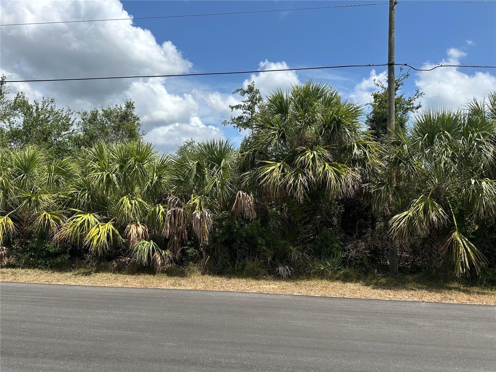 12006 GROUSE AVE, PORT CHARLOTTE, FL, 33981