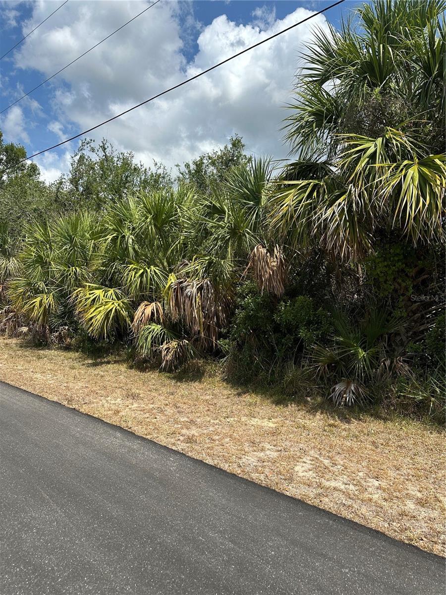 12006 GROUSE AVE, PORT CHARLOTTE, FL, 33981