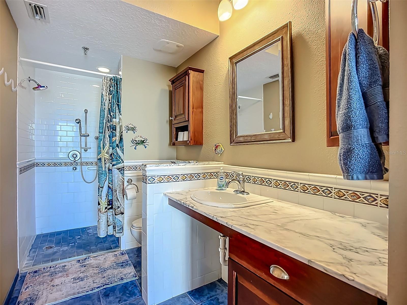 HARBOURSIDE CONDO, SOUTH PASADENA, FL, 33707
