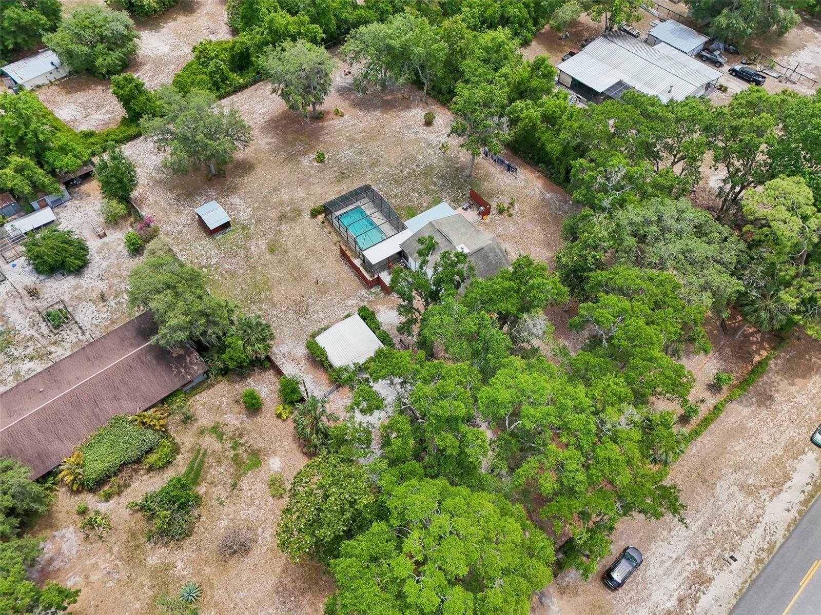 31544 WEKIVA RIVER TRL, SORRENTO, FL, 32776