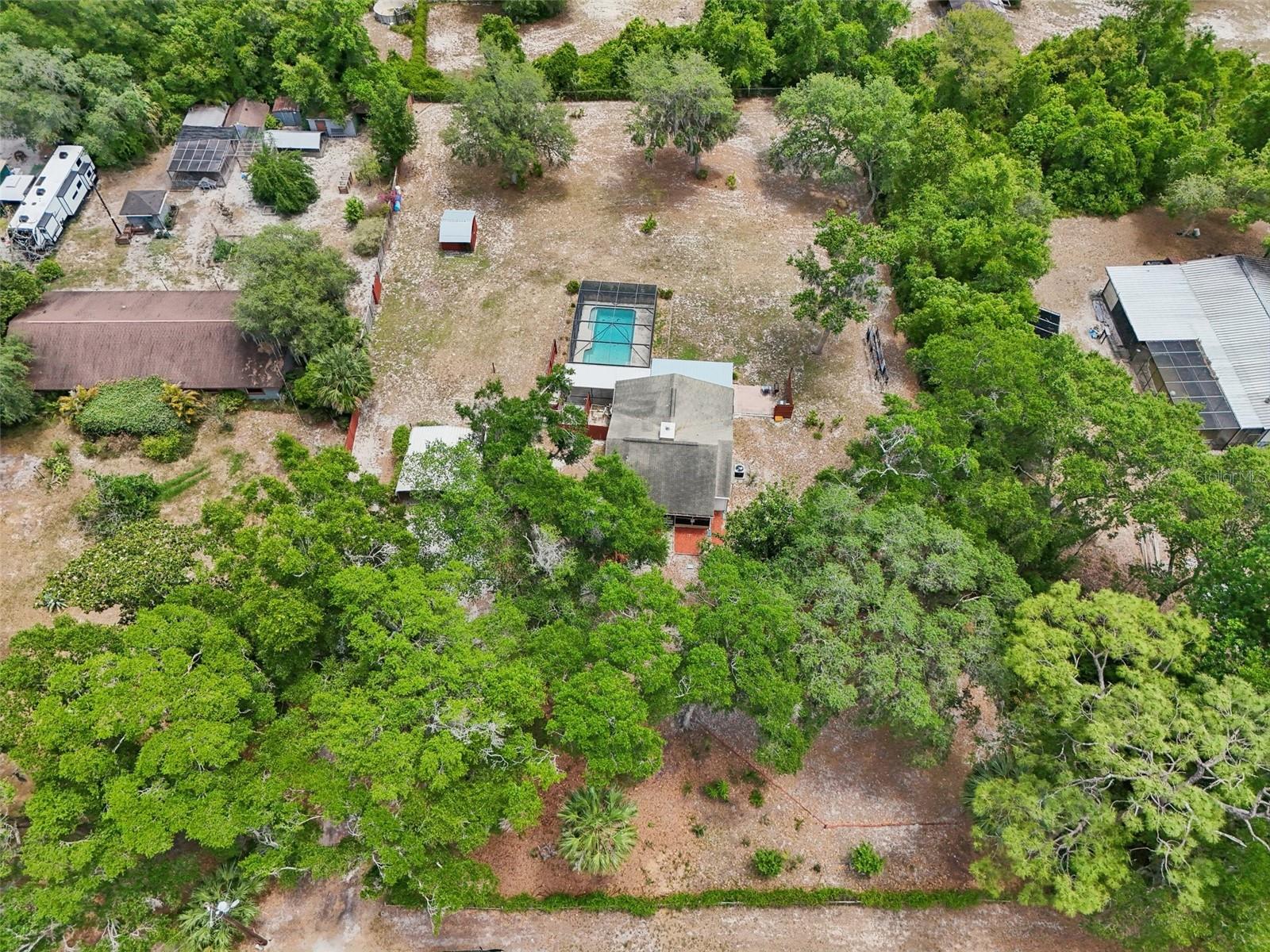 31544 WEKIVA RIVER TRL, SORRENTO, FL, 32776