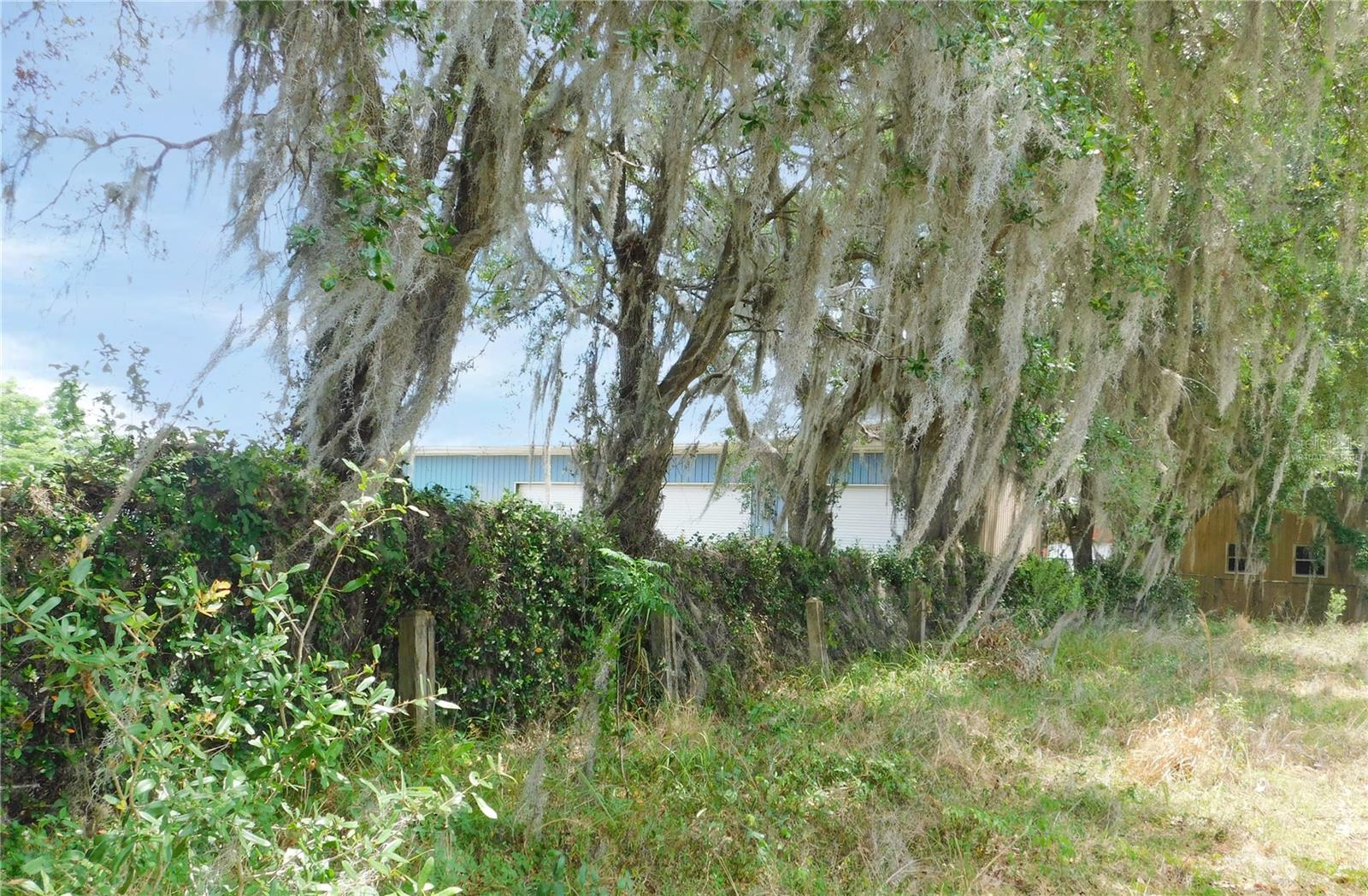 3940 E KNIGHTS GRIFFIN RD, PLANT CITY, FL, 33565