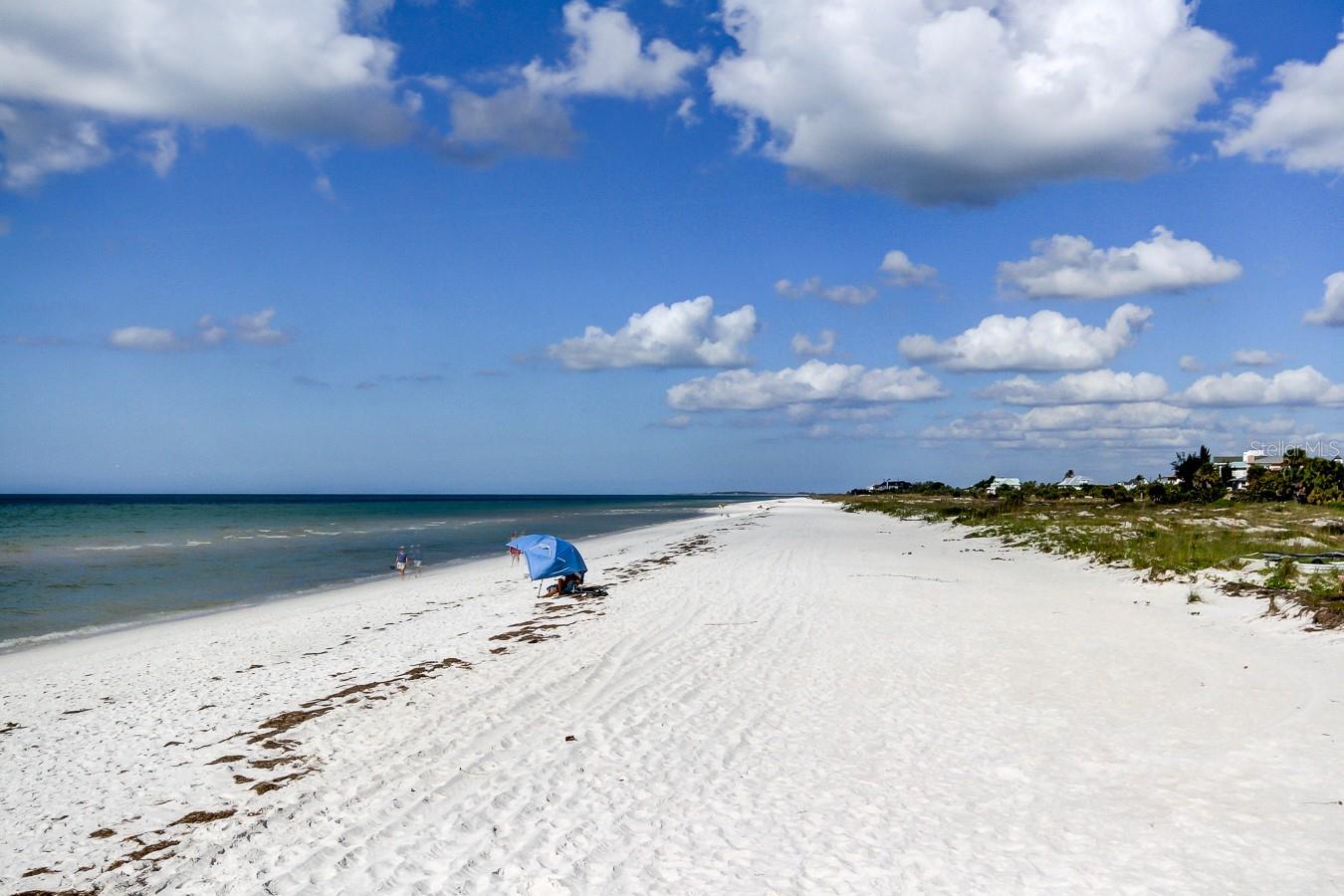 880 MANDALAY AVE #206, CLEARWATER BEACH, FL, 33767