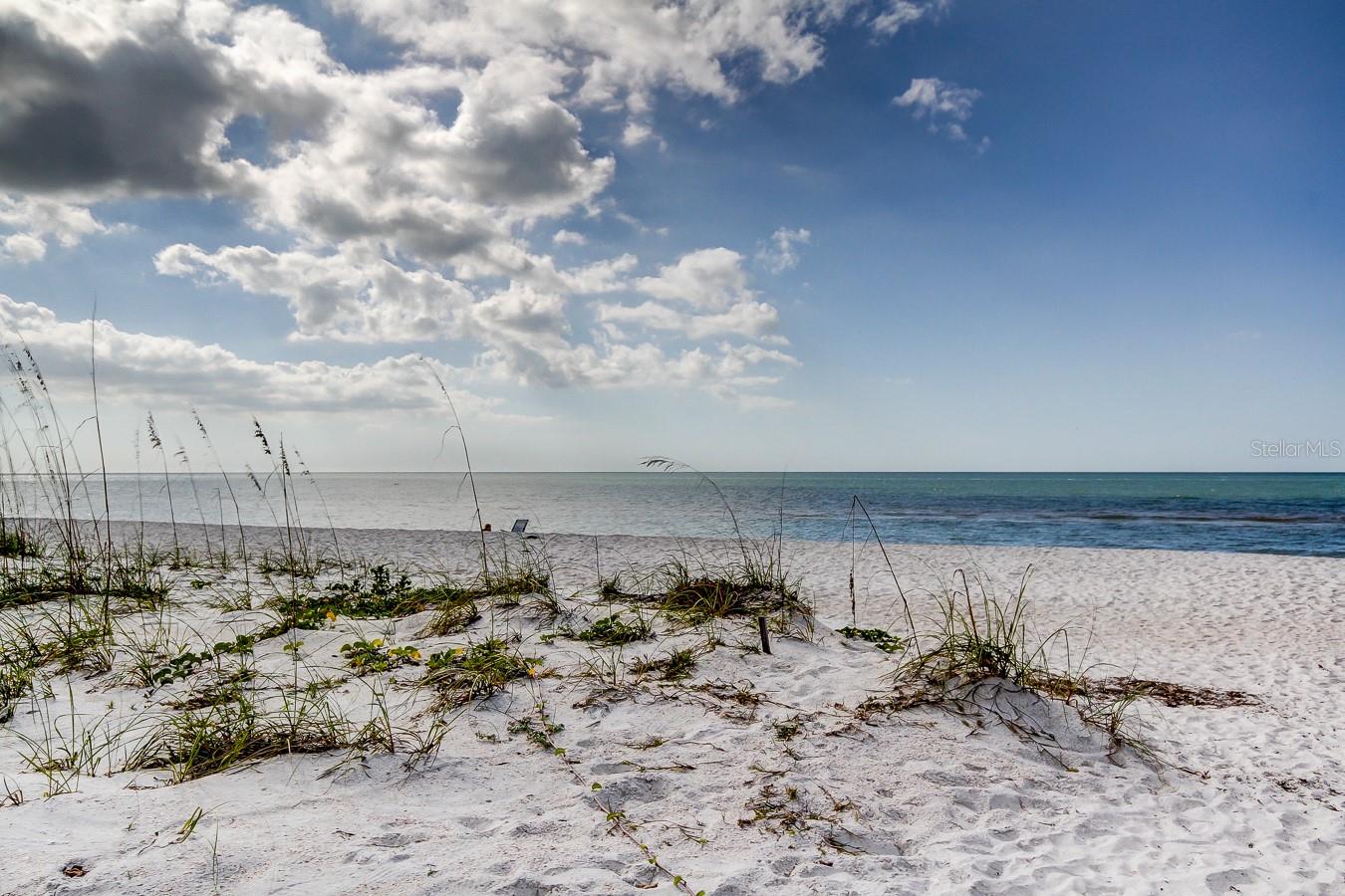 880 MANDALAY AVE #206, CLEARWATER BEACH, FL, 33767