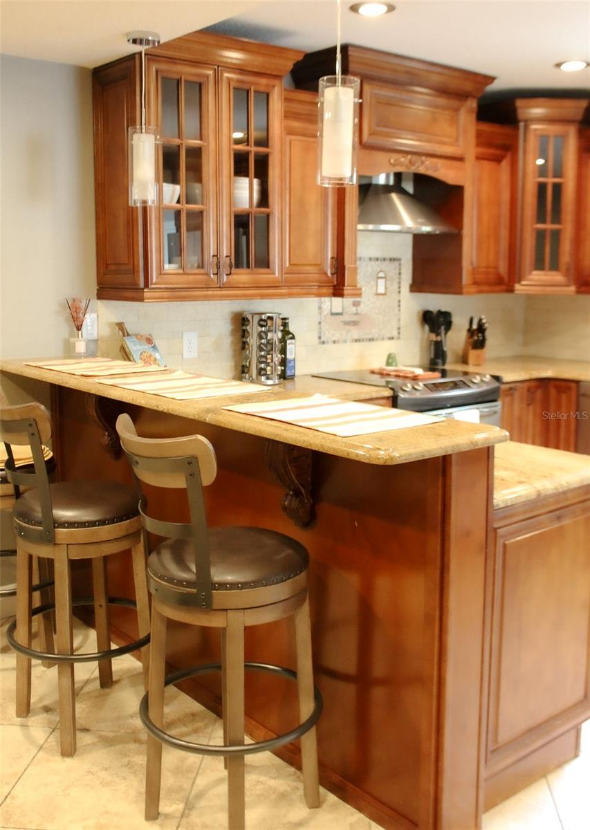 4115 W SAN PEDRO ST, TAMPA, FL, 33629