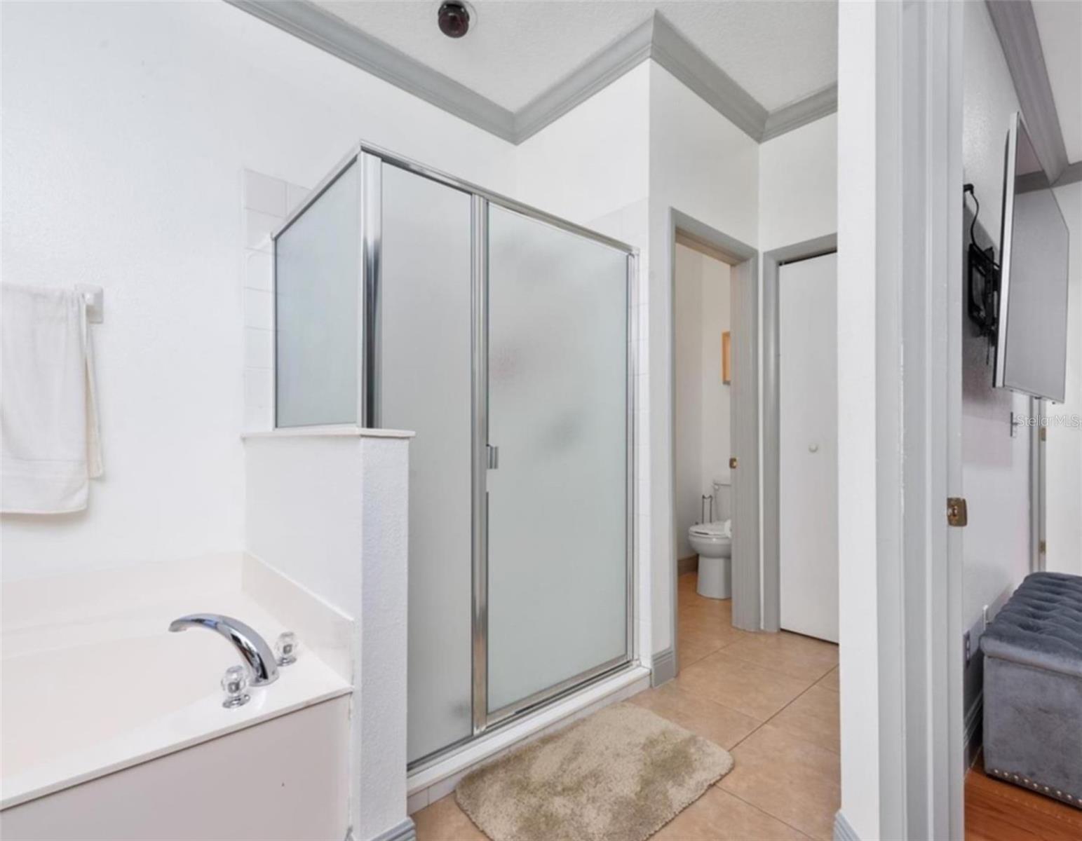 546 BLOOMINGDALE DR, DAVENPORT, FL, 33897