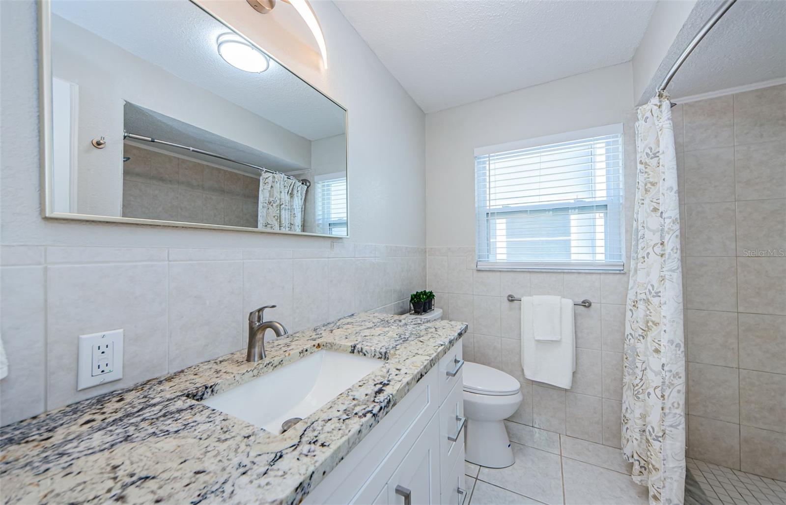 2186 EDYTHE DR #11, DUNEDIN, FL, 34698